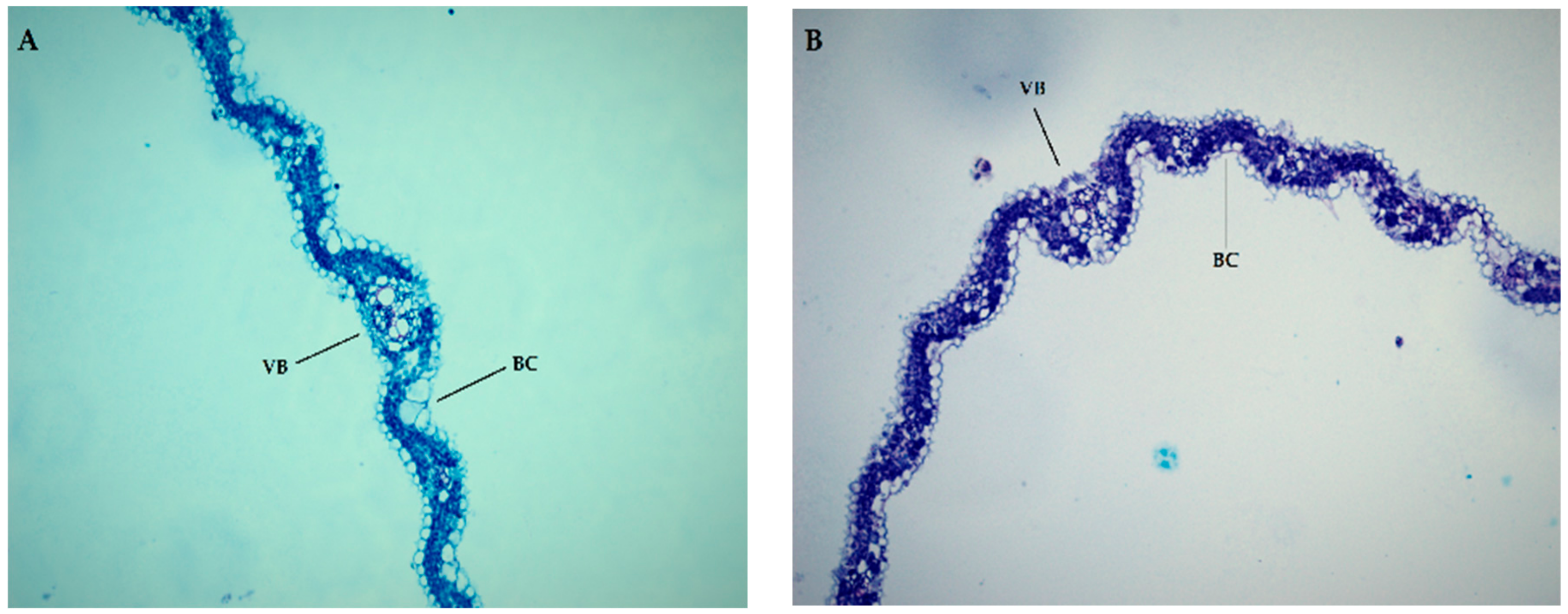 Agronomy 09 00728 g004a Agronomy 09 00728 g004a