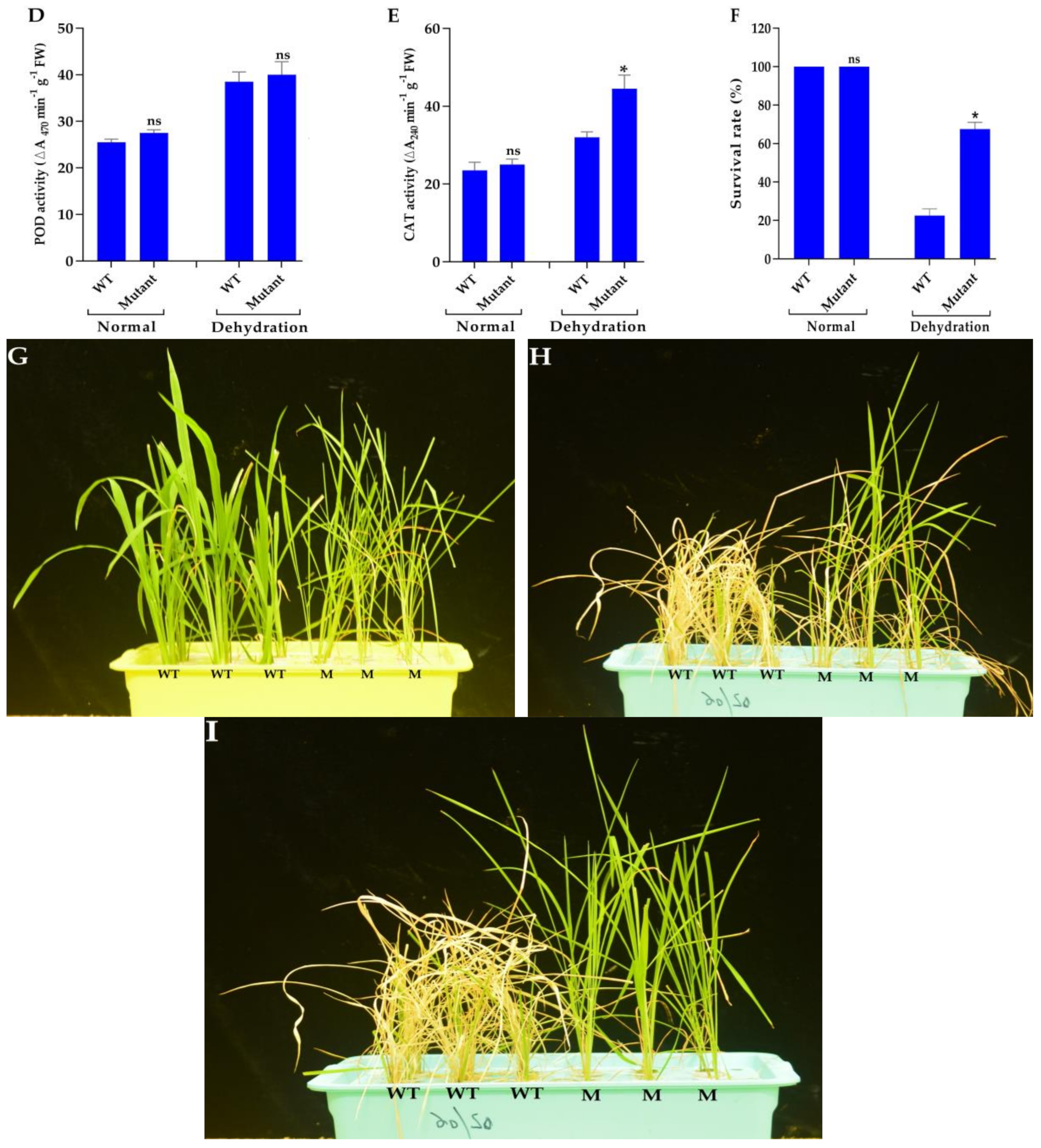 Agronomy 09 00728 g005b Agronomy 09 00728 g005b