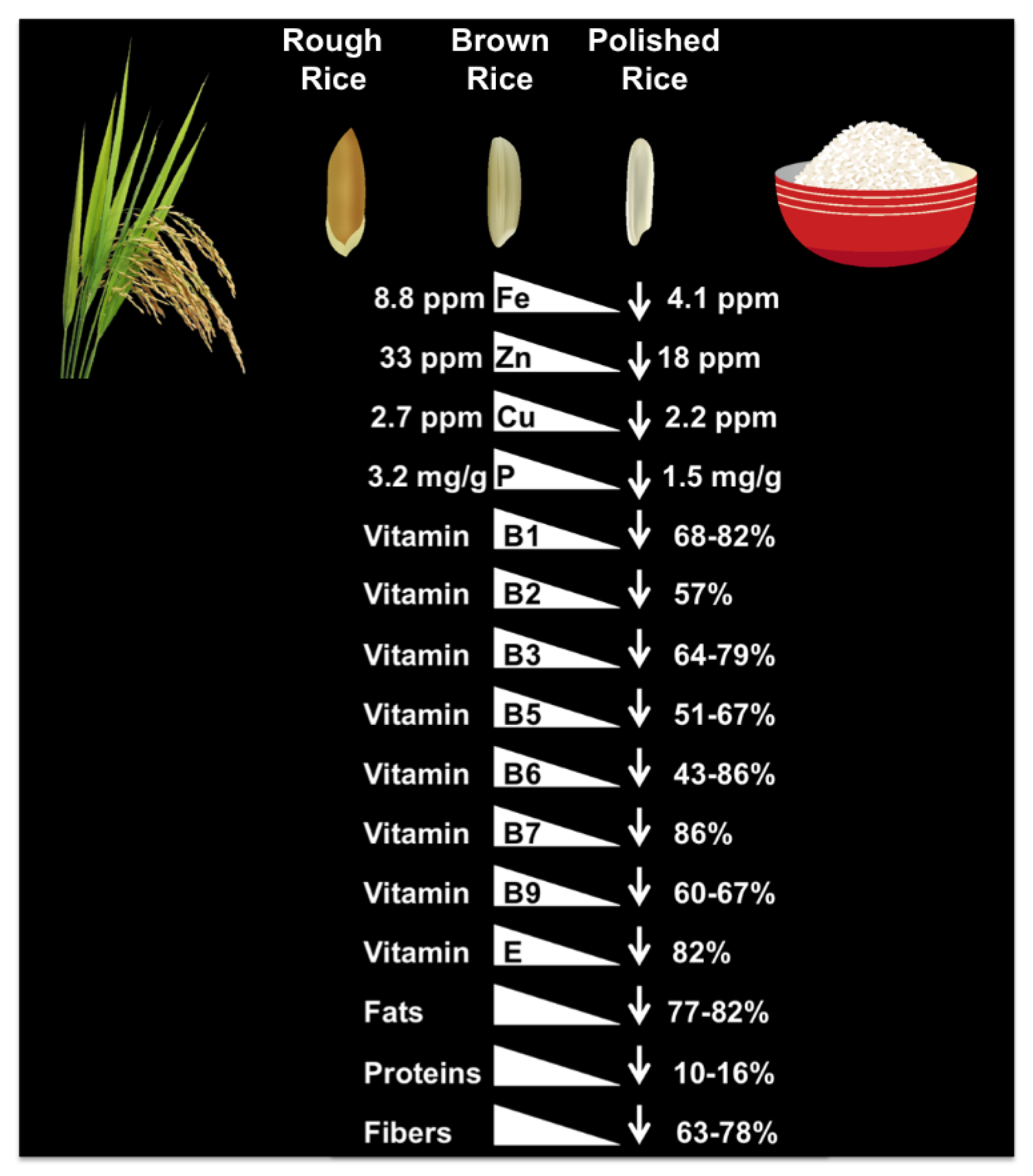Agronomy | Free Full-Text | Rice Biofortification: High Iron, Zinc, and  Vitamin-A to Fight against “Hidden Hunger”
