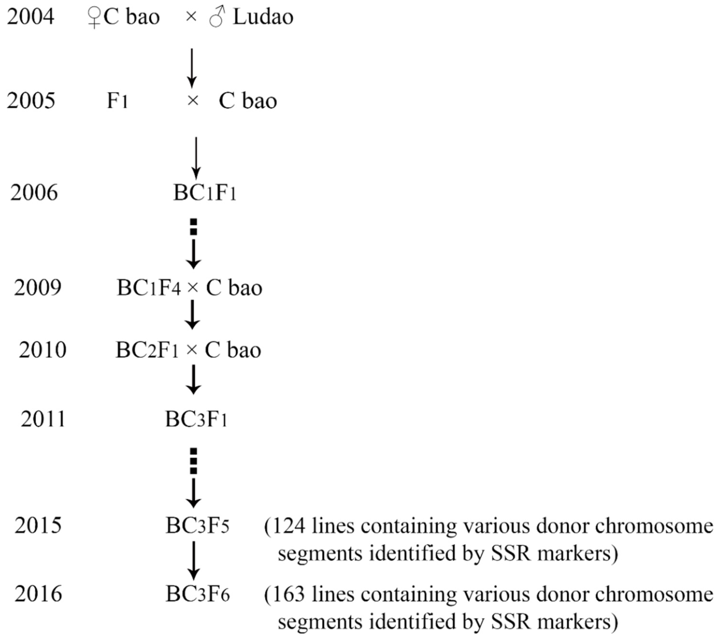 Agronomy 10 00028 g002