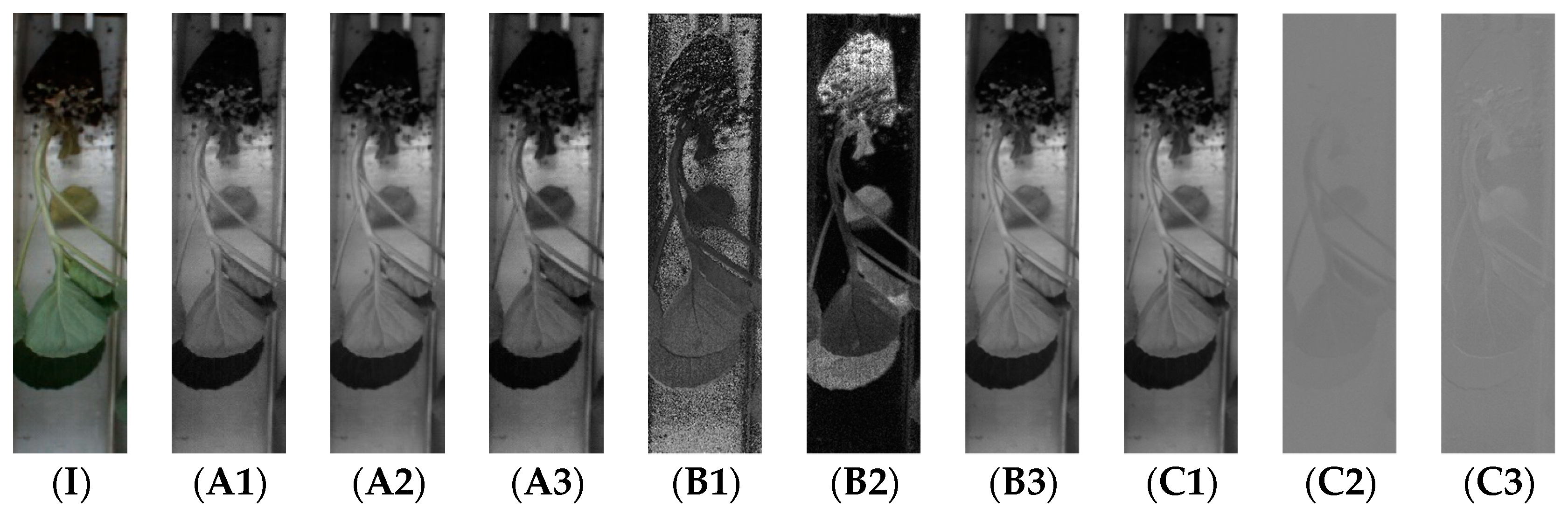 Agronomy 10 00065 g002