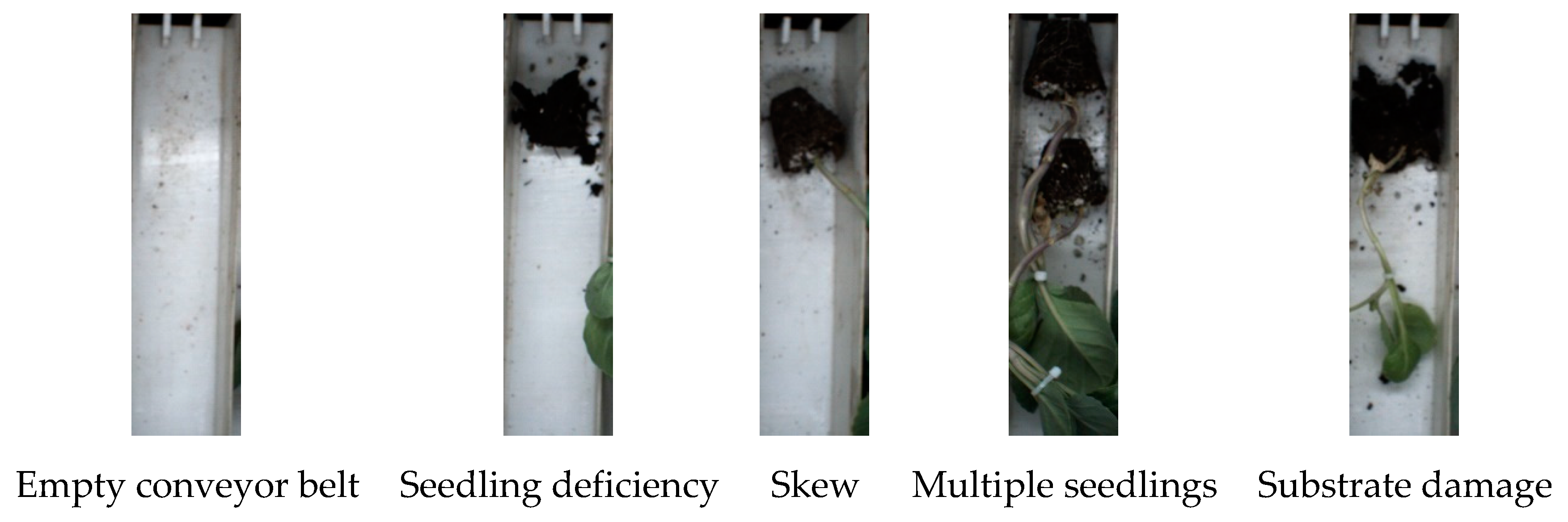 Agronomy 10 00065 g009
