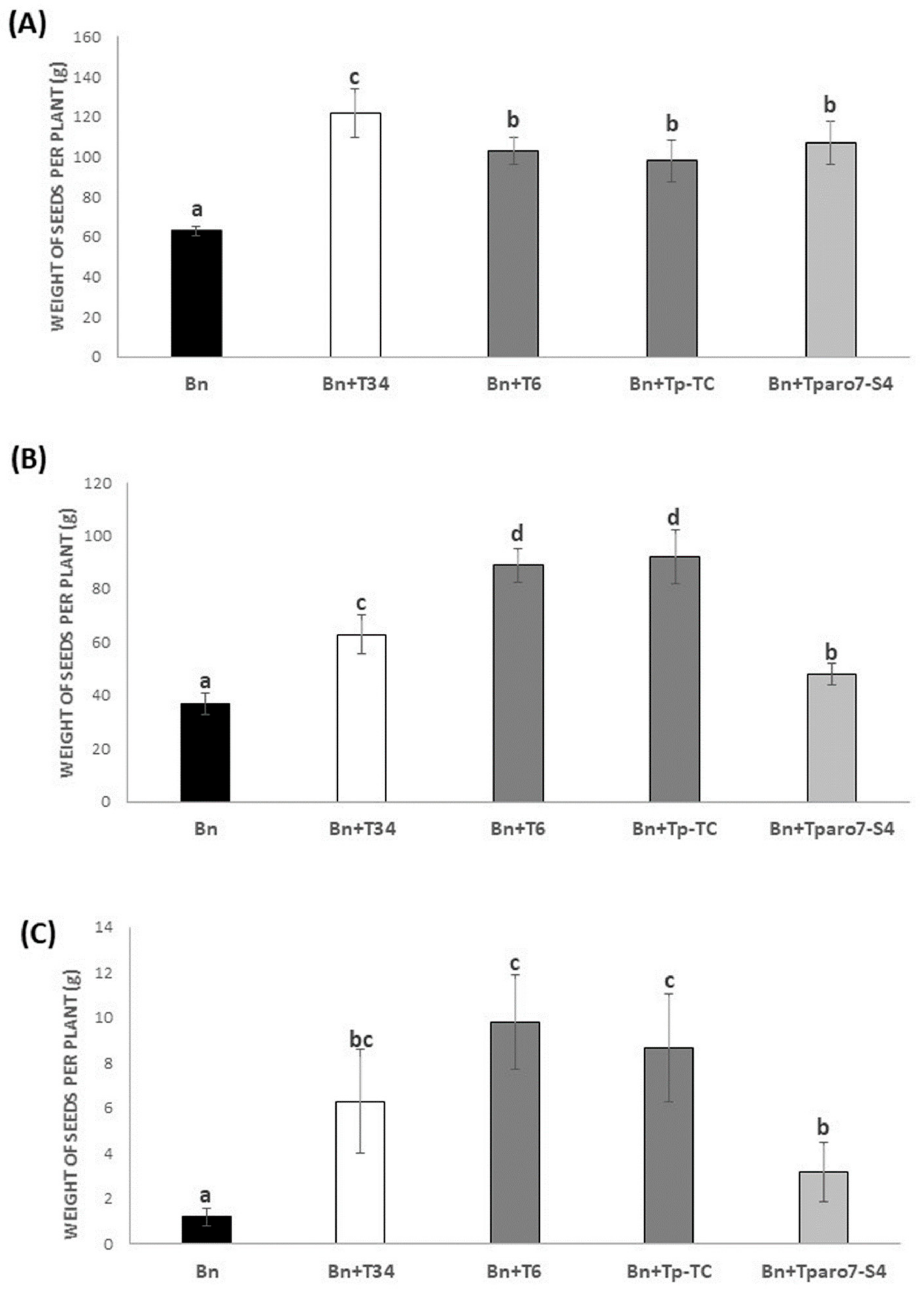 Agronomy Free Full Text Trichoderma Parareesei Favors The Tolerance Of Rapeseed Brassica Napus L To Salinity And Drought Due To A Chorismate Mutase Html