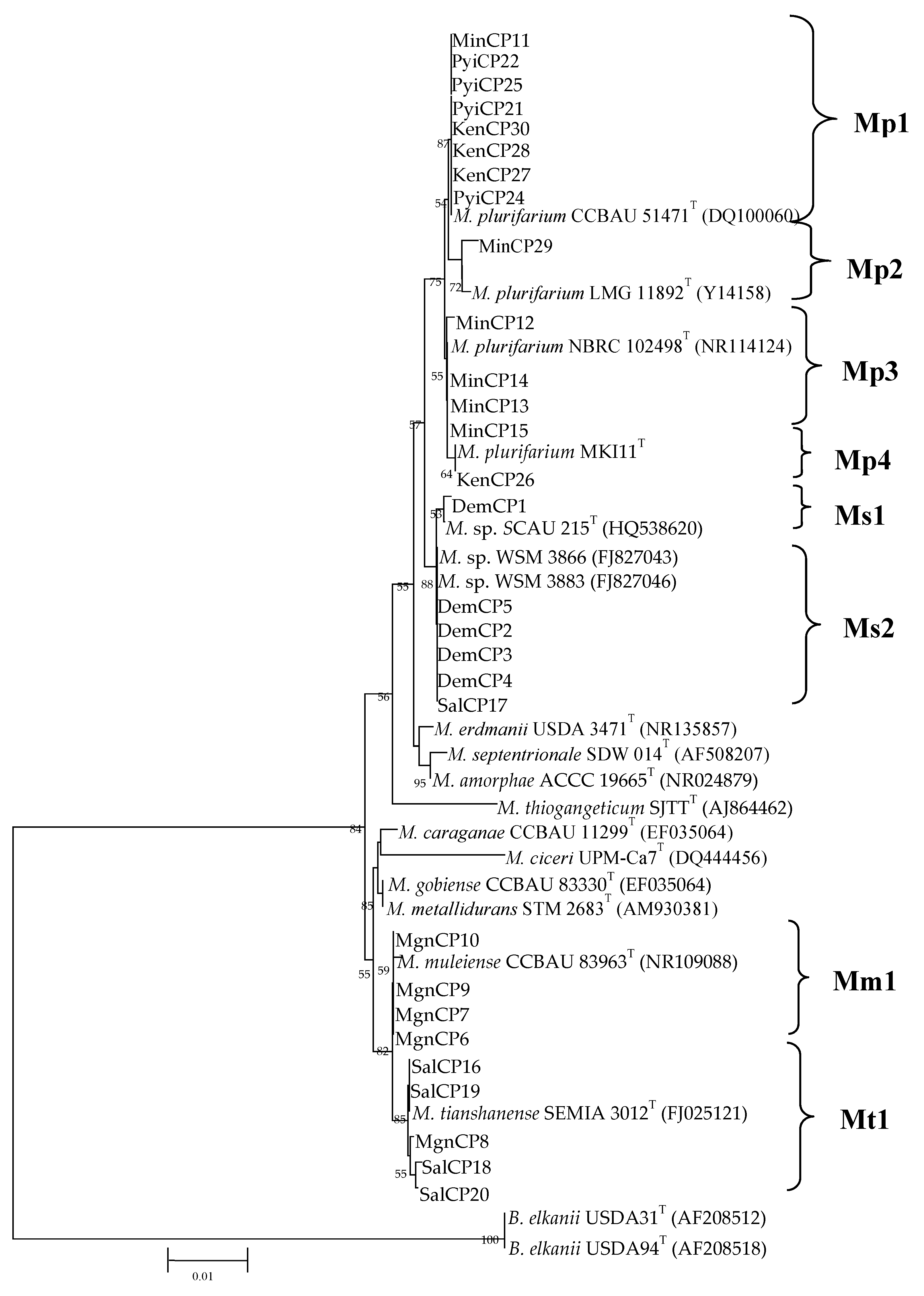 Agronomy 10 00287 g002