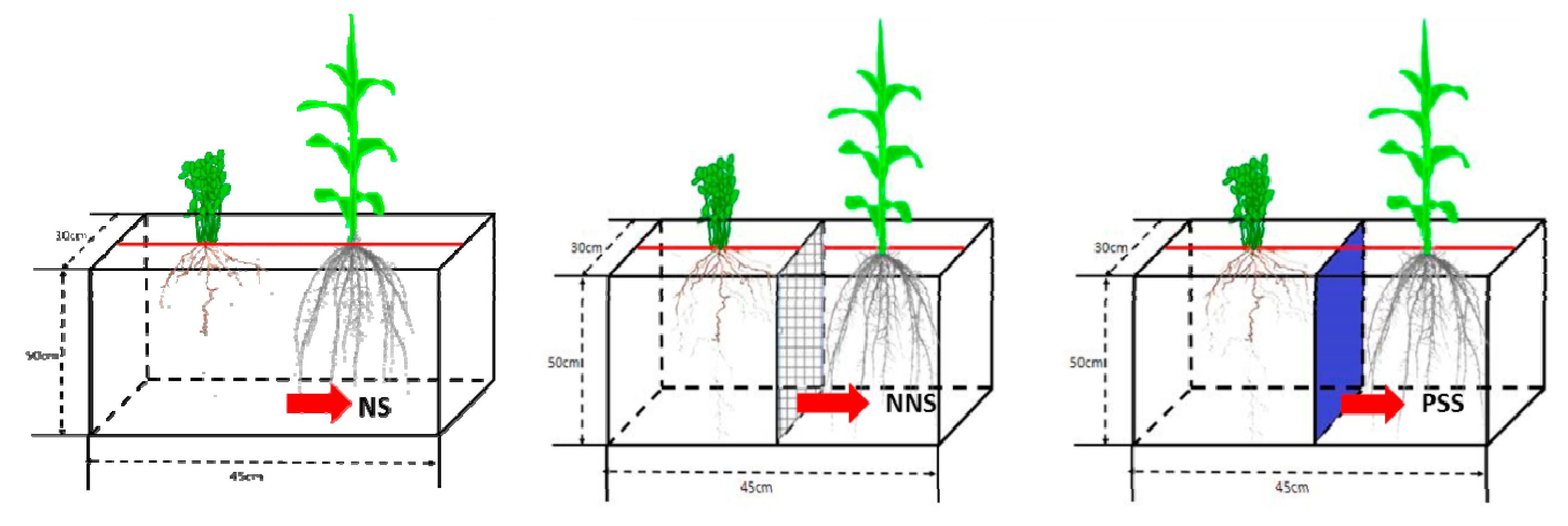 Agronomy 10 00360 g001