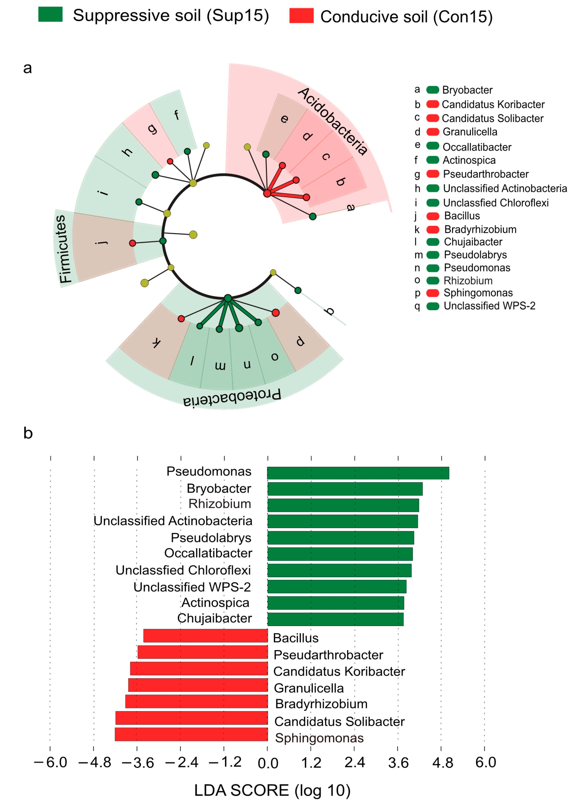 Agronomy 10 00385 g004