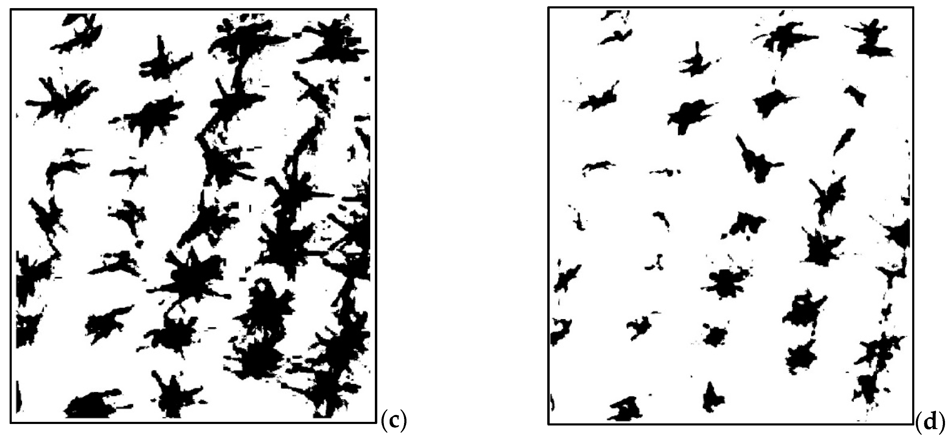 Agronomy 10 00469 g003b