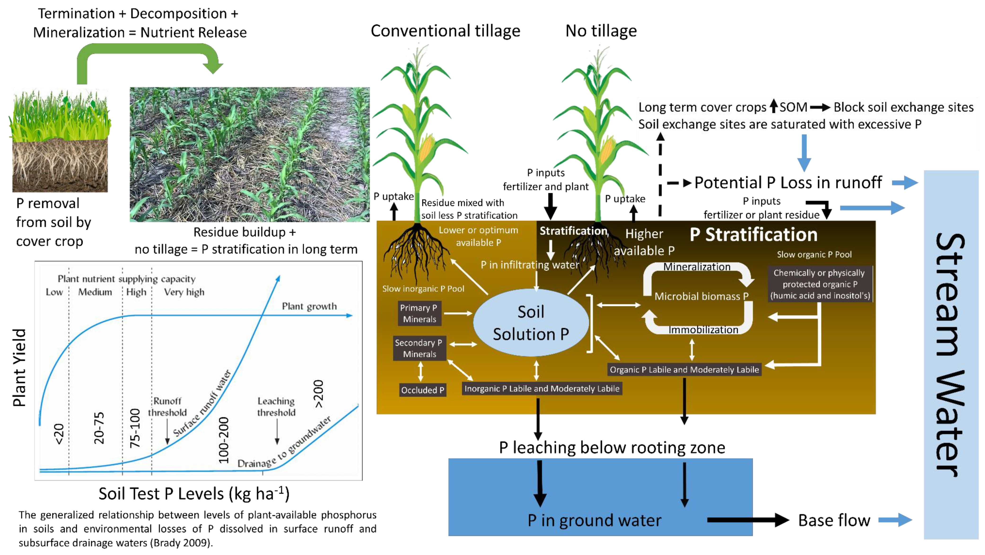 Agronomy | Free Full-Text | Managing Phosphorus Loss from Agroecosystems of  the Midwestern United States: A Review | HTML
