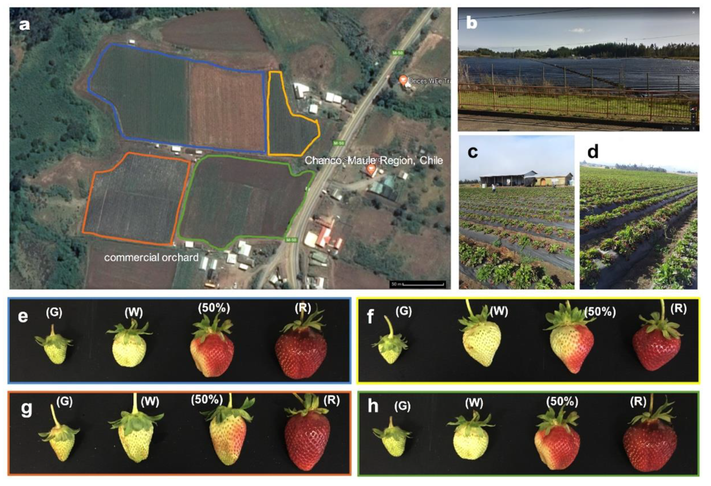 Agronomy 10 00588 g002 Agronomy 10 00588 g002