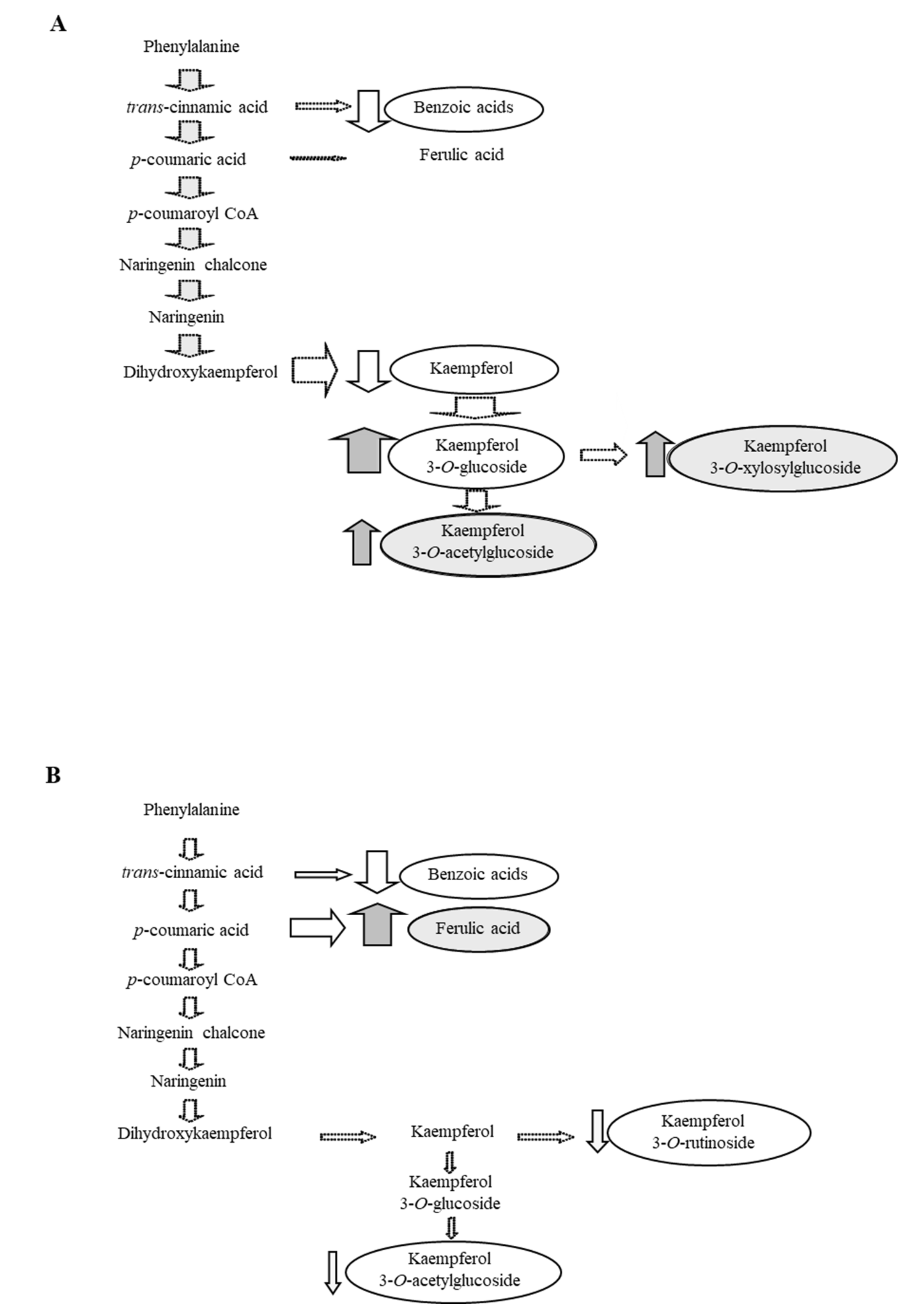 Agronomy 10 00682 g003