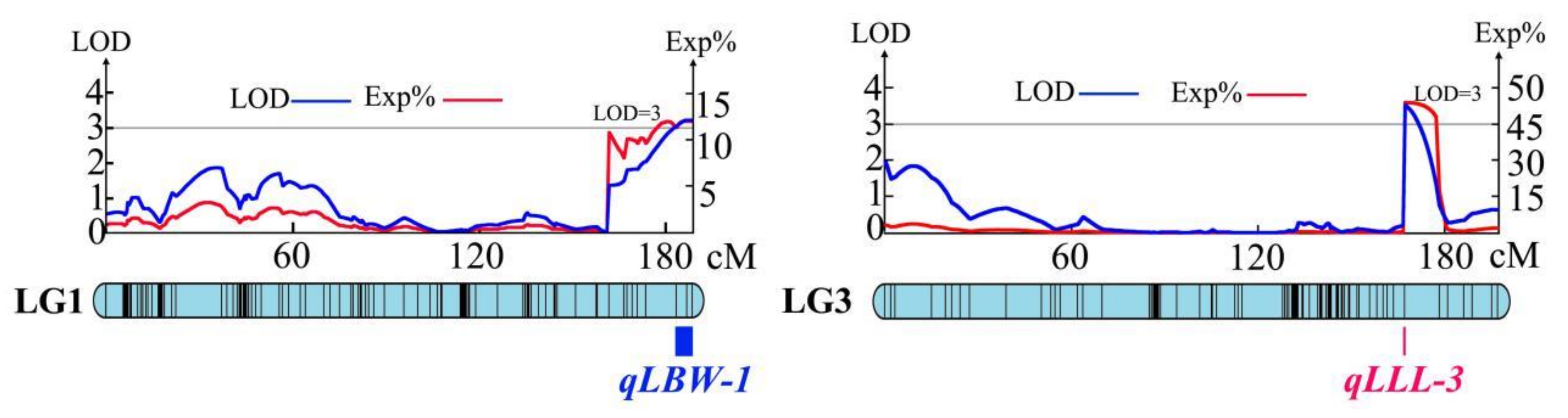 Agronomy 10 00697 g006