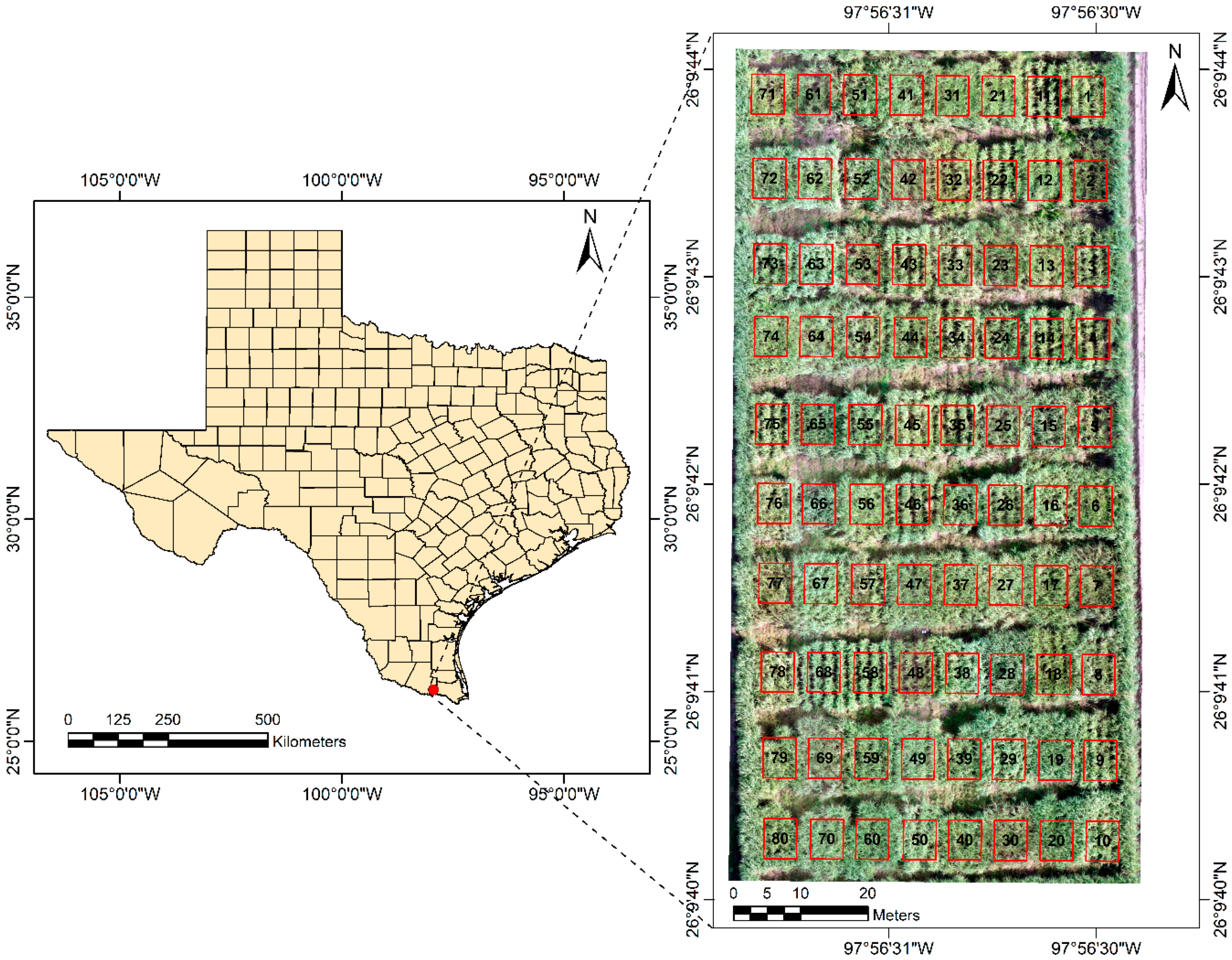 Agronomy 10 00718 g001