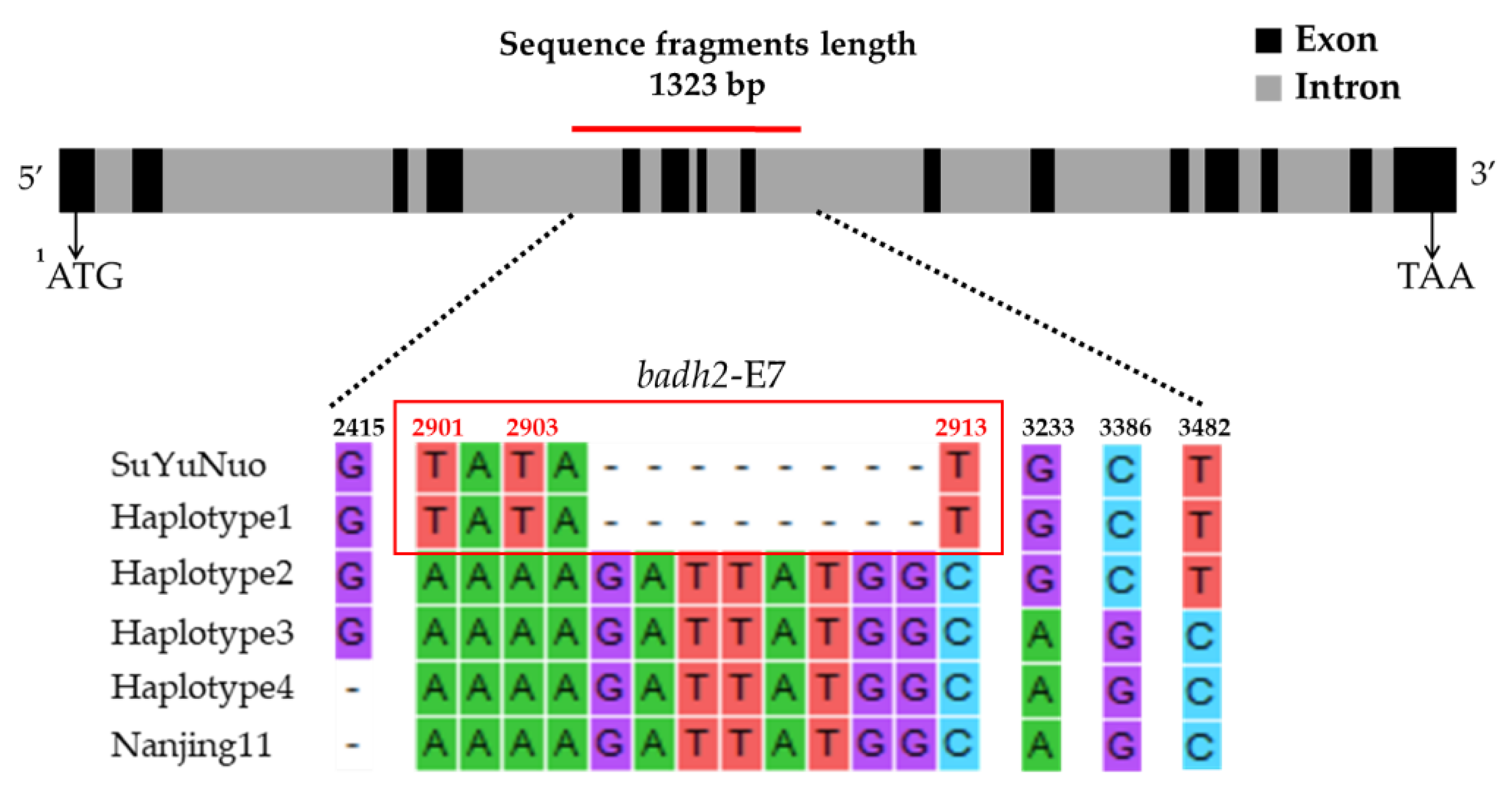 Agronomy 10 00779 g003 Agronomy 10 00779 g003