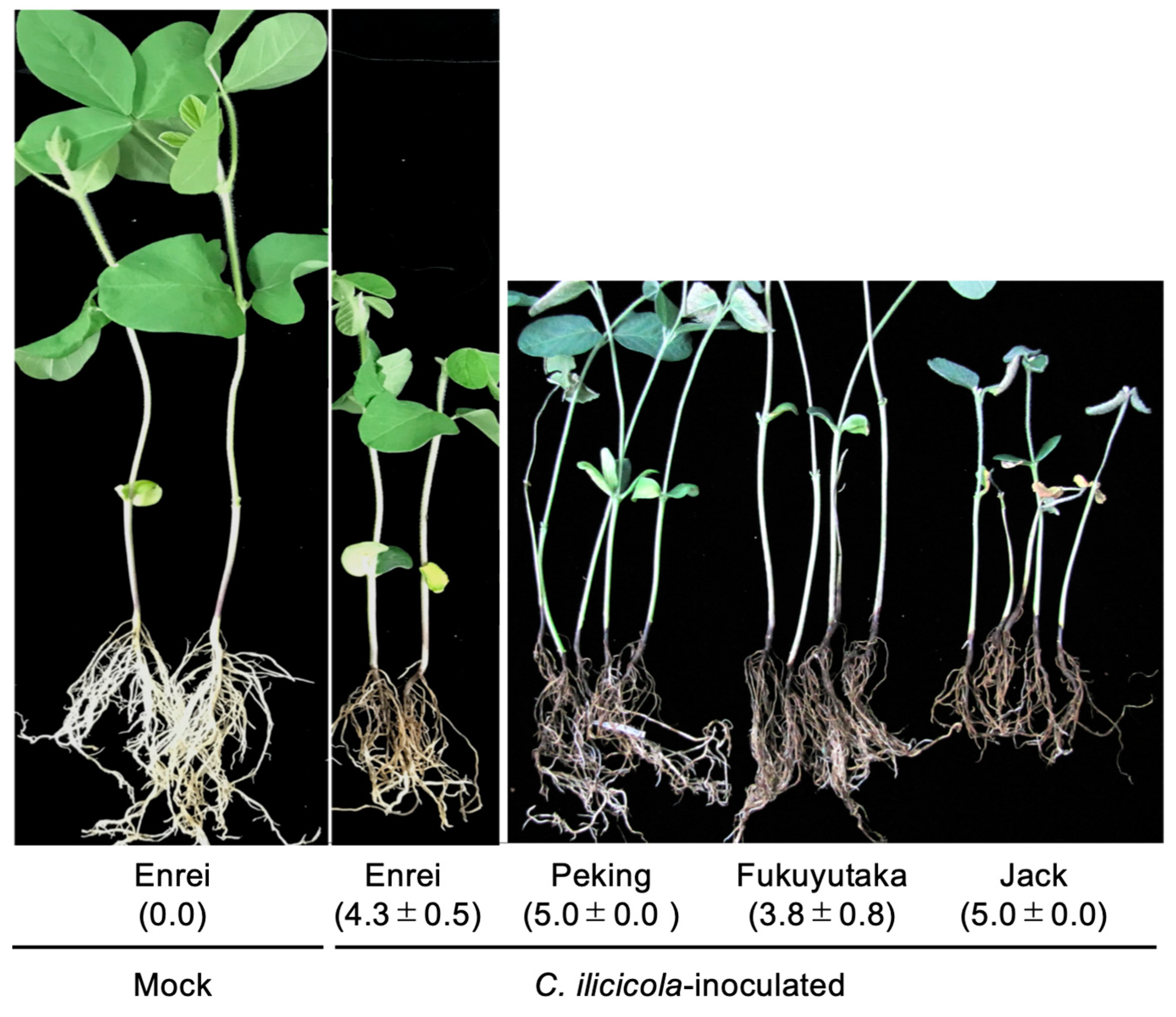 Agronomy 10 00887 g002 Agronomy 10 00887 g002