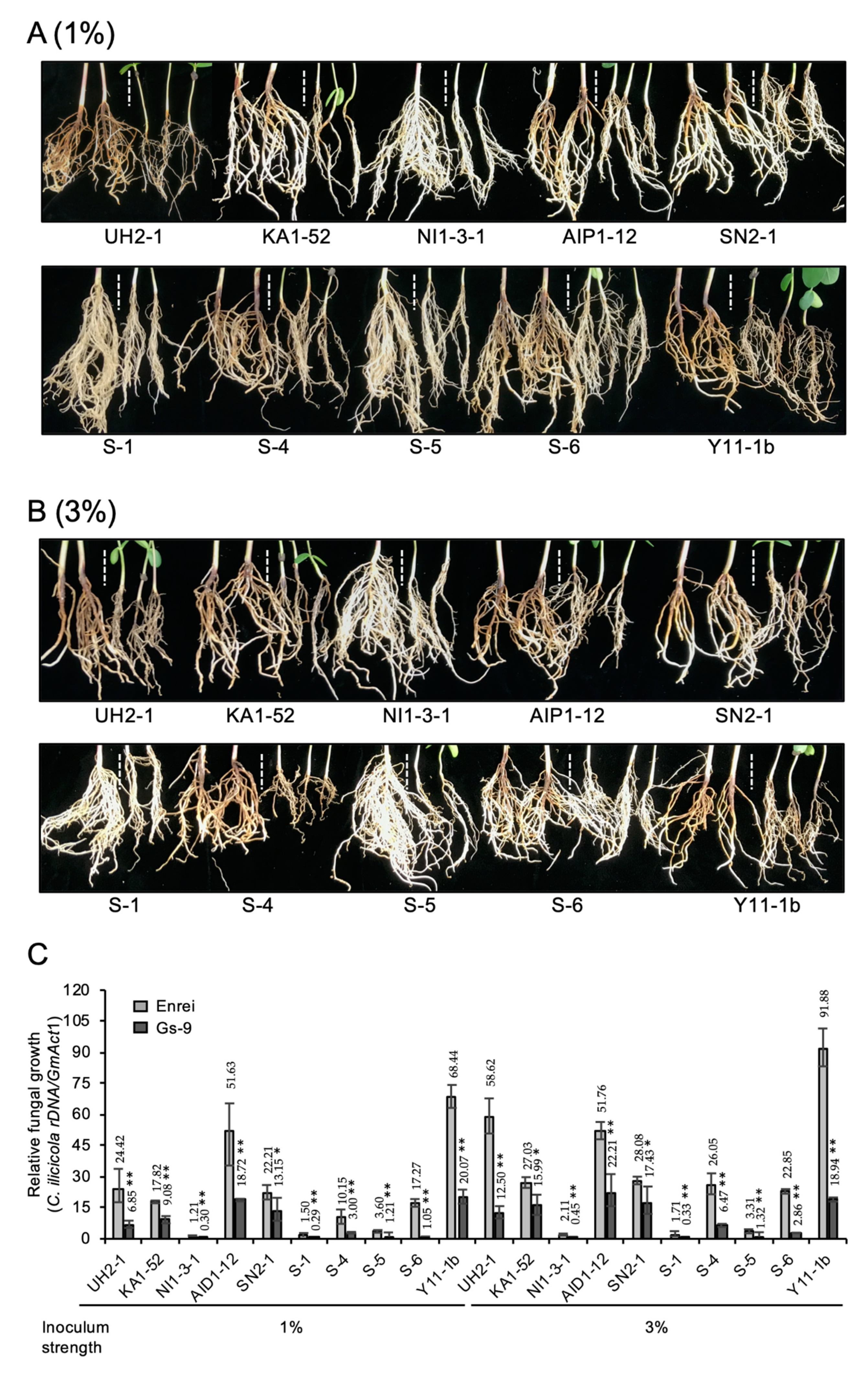 Agronomy 10 00887 g005 Agronomy 10 00887 g005