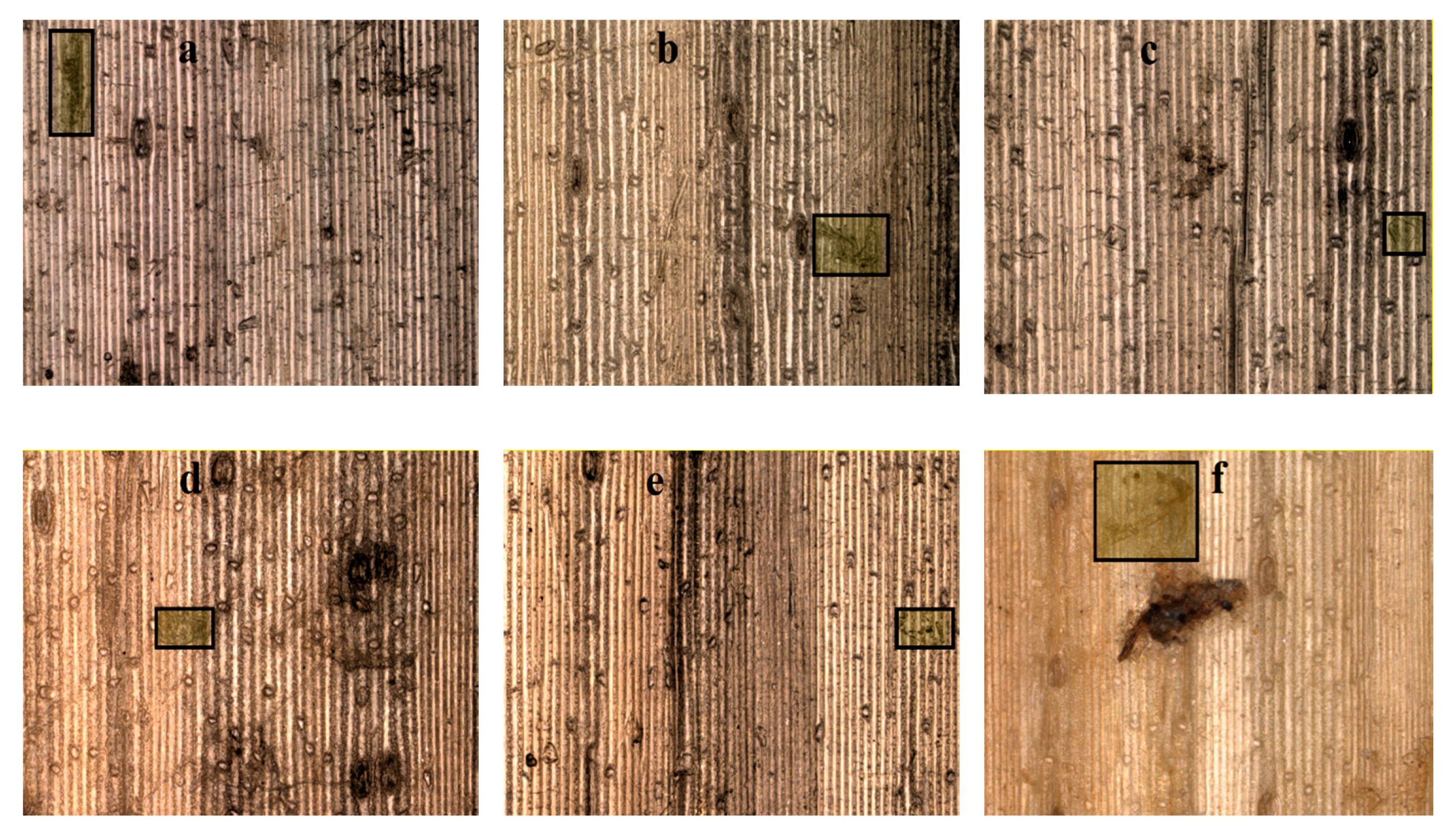 Agronomy 10 00894 g016