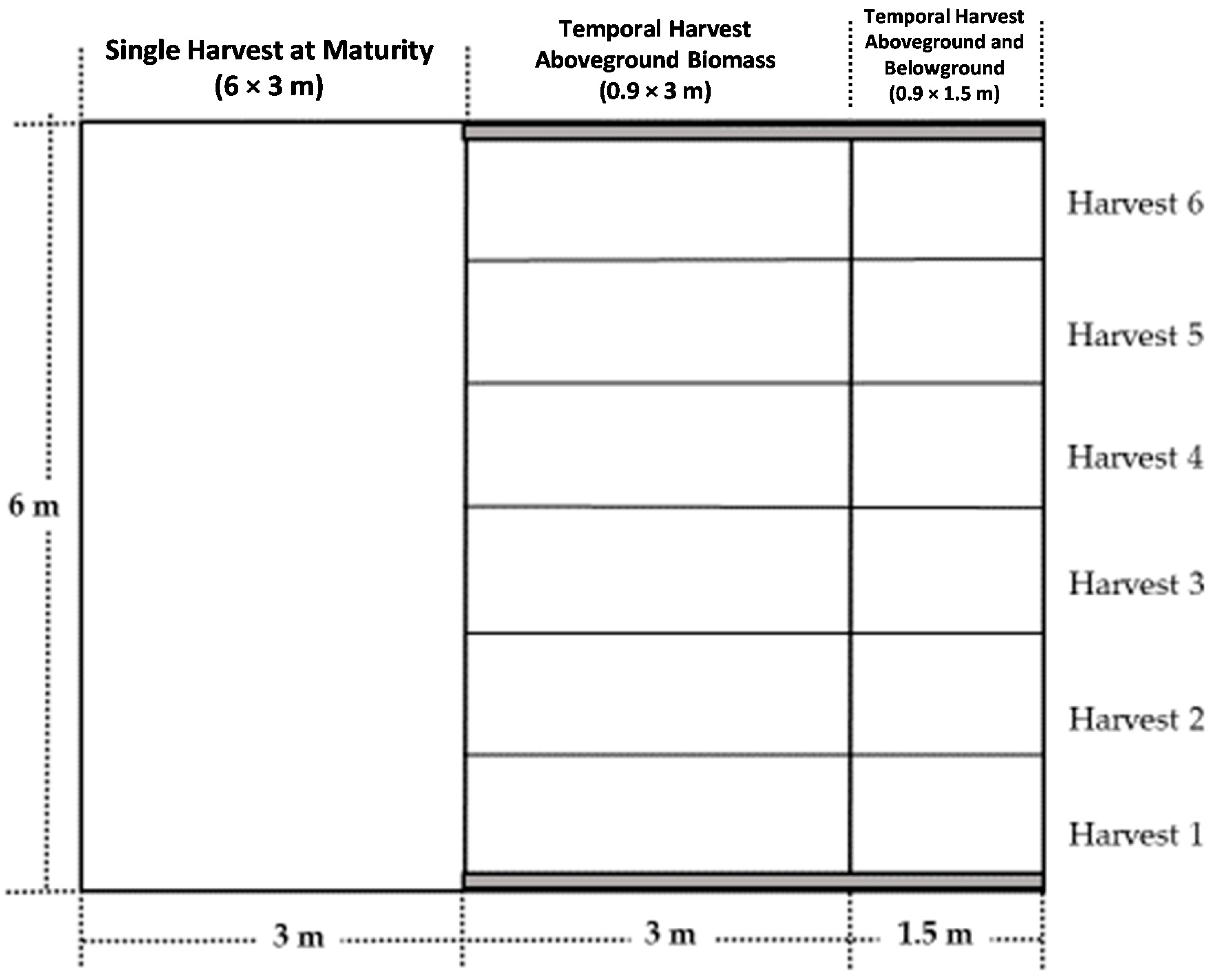 Agronomy 10 00940 g001