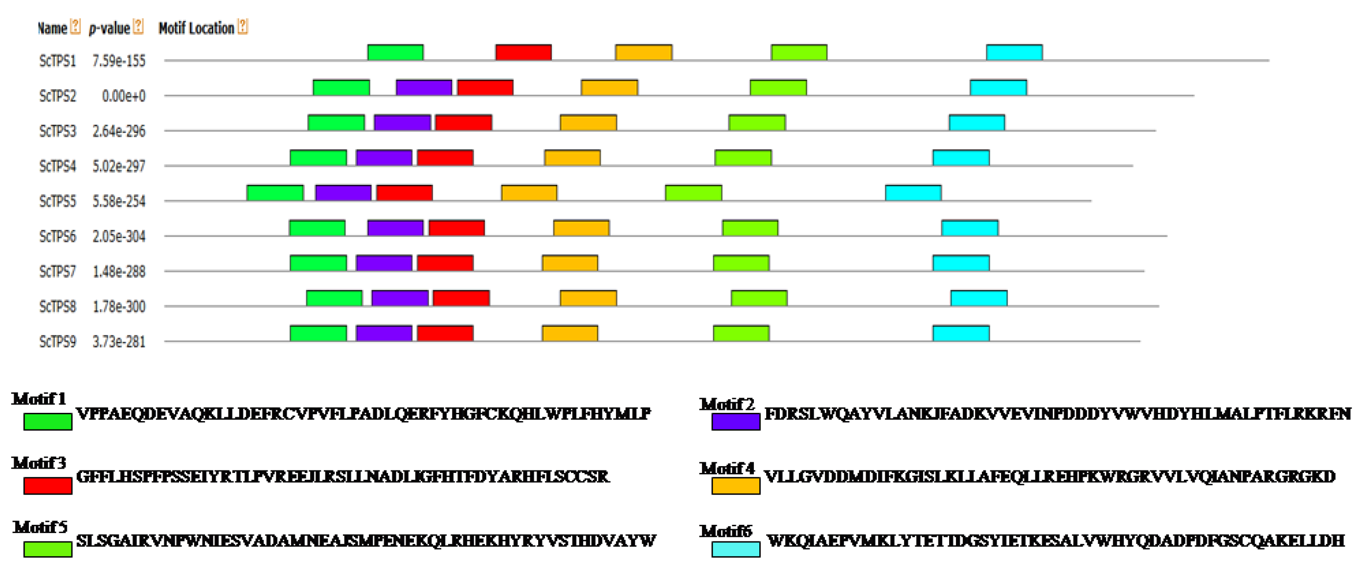Agronomy 10 00969 g002