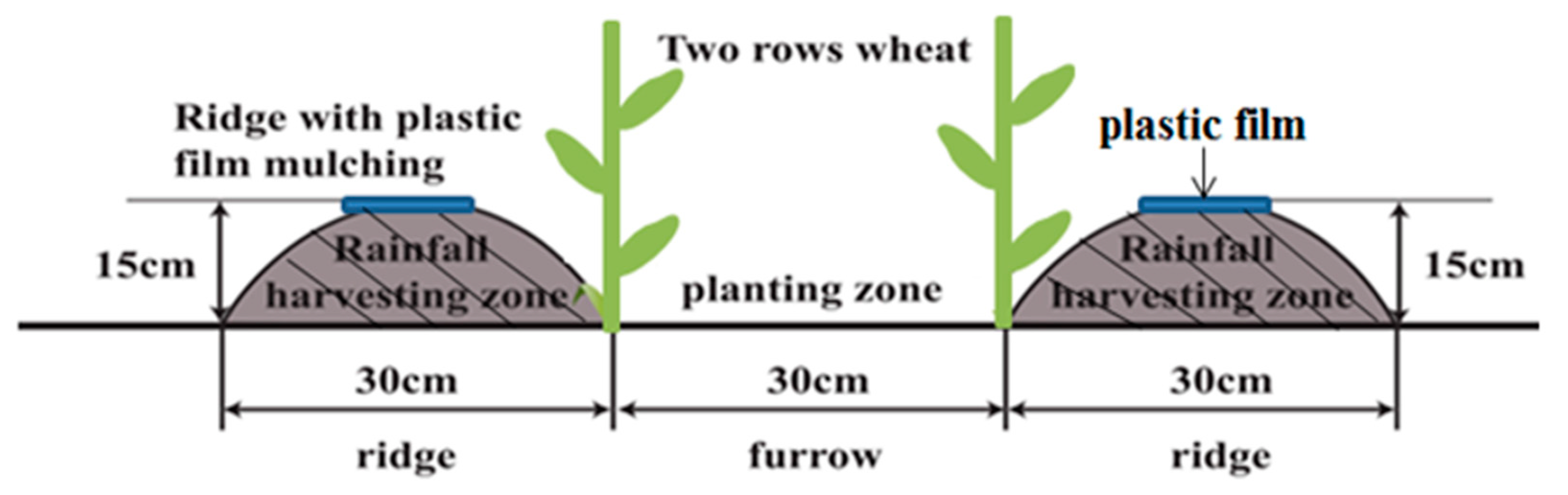 furrow irrigation diagram