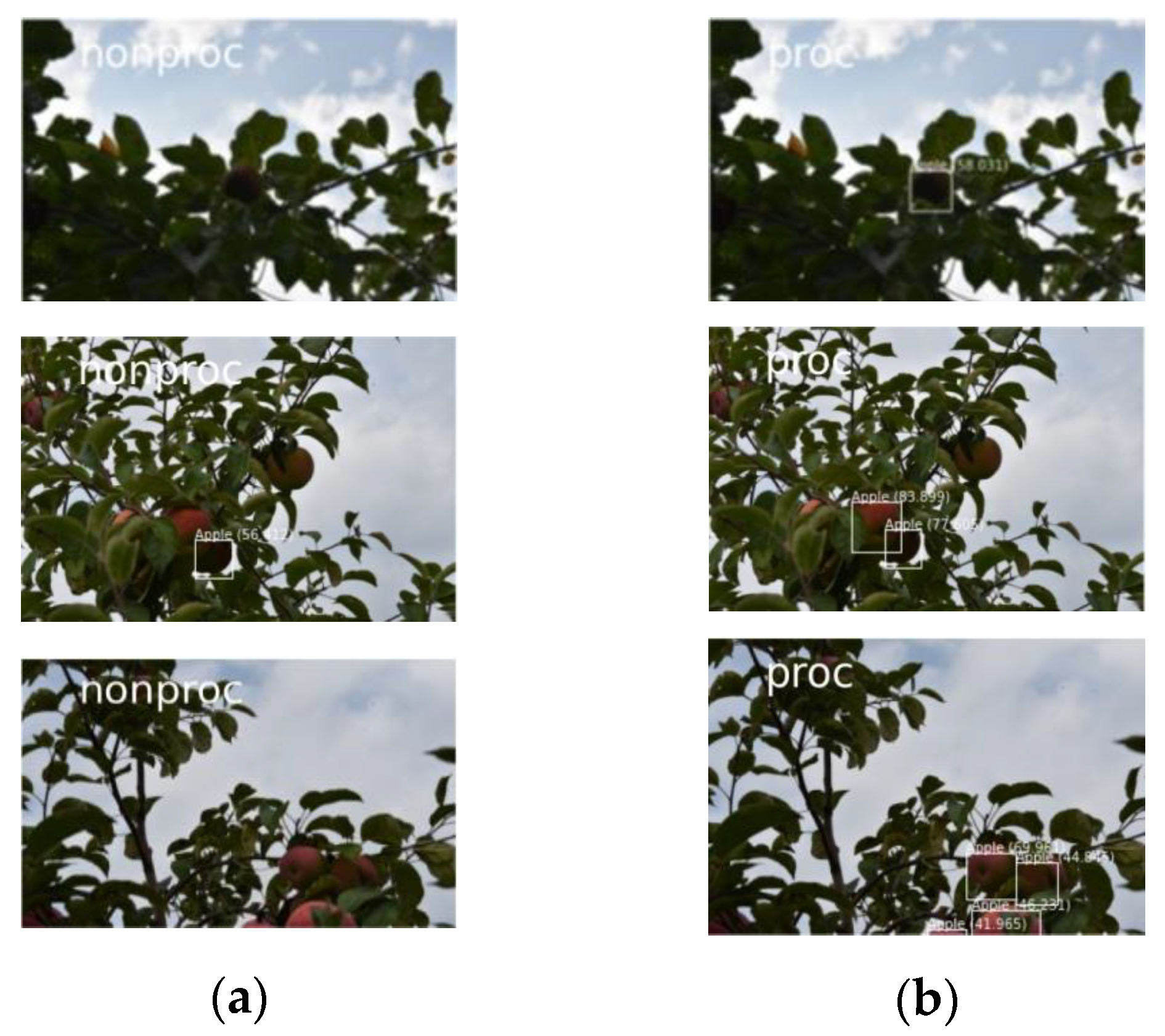 Agronomy 10 01016 g004 Agronomy 10 01016 g004