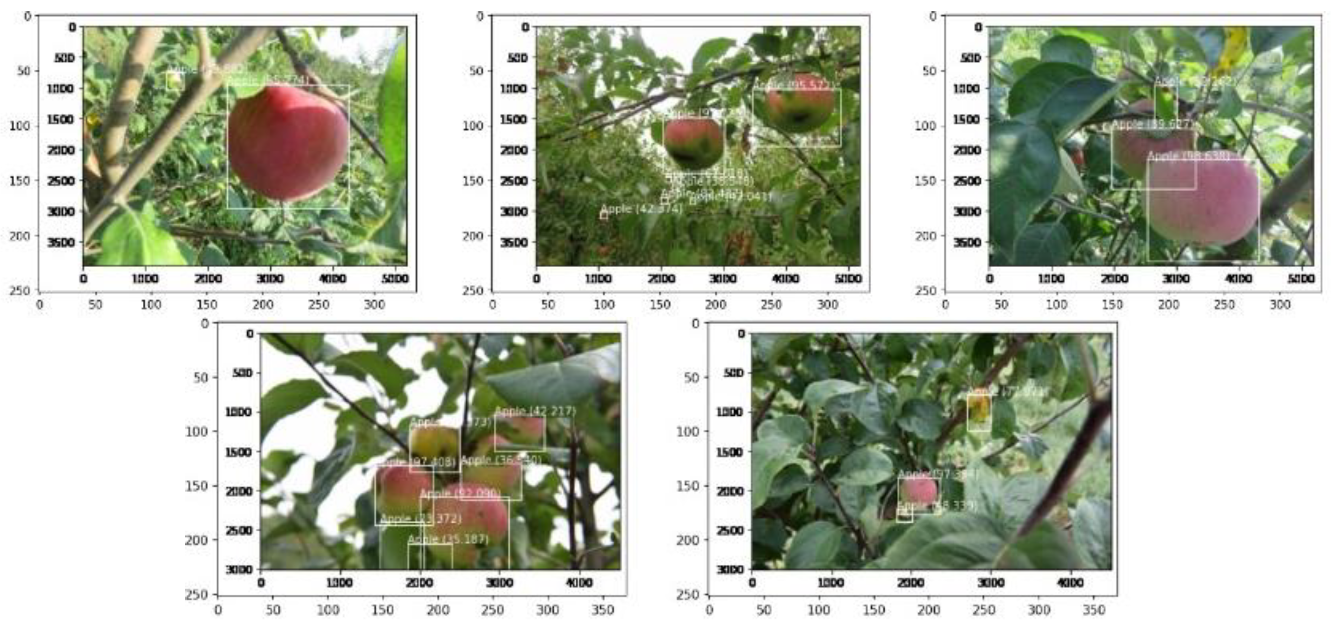 Agronomy 10 01016 g006 Agronomy 10 01016 g006
