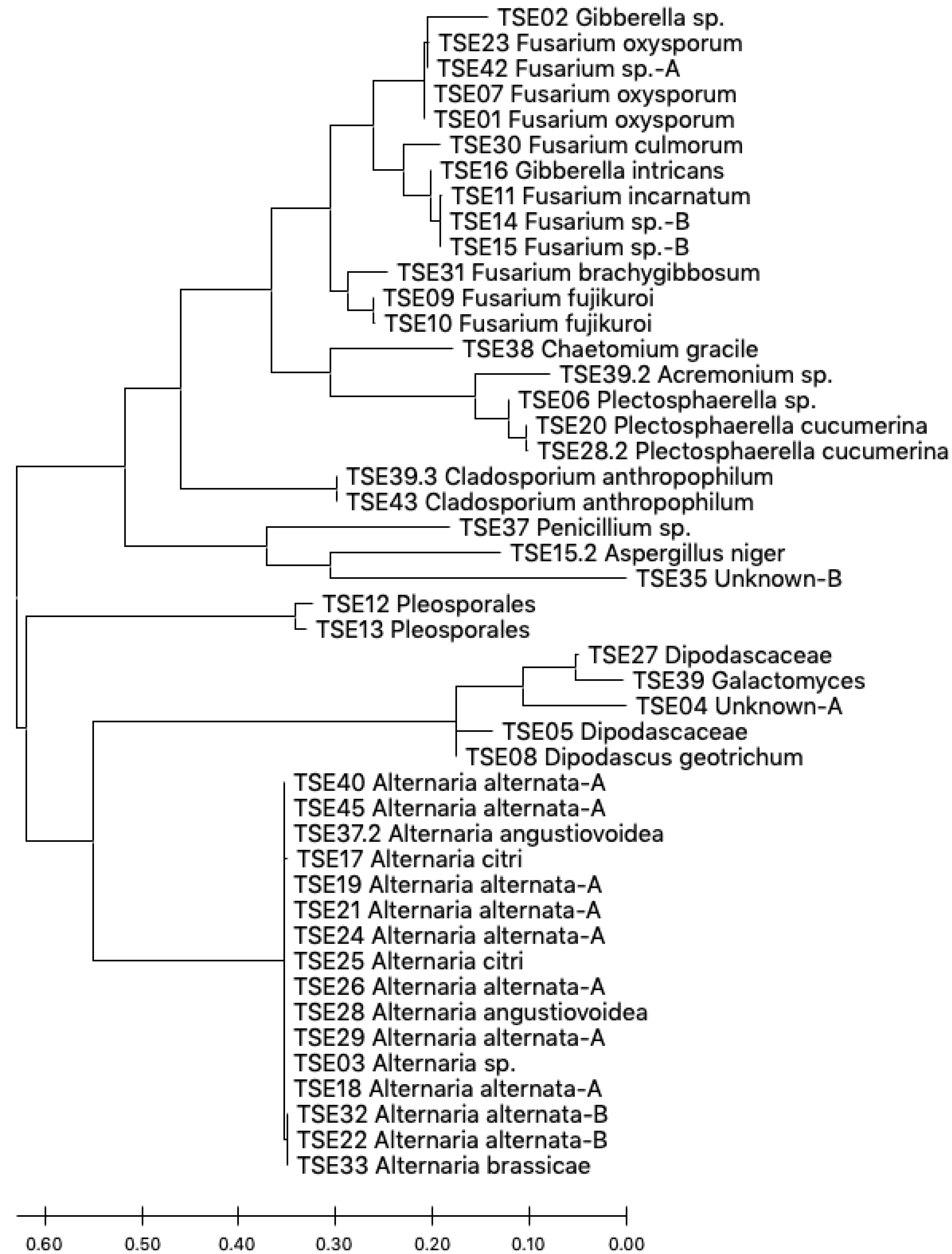 Agronomy 10 01019 g004 Agronomy 10 01019 g004