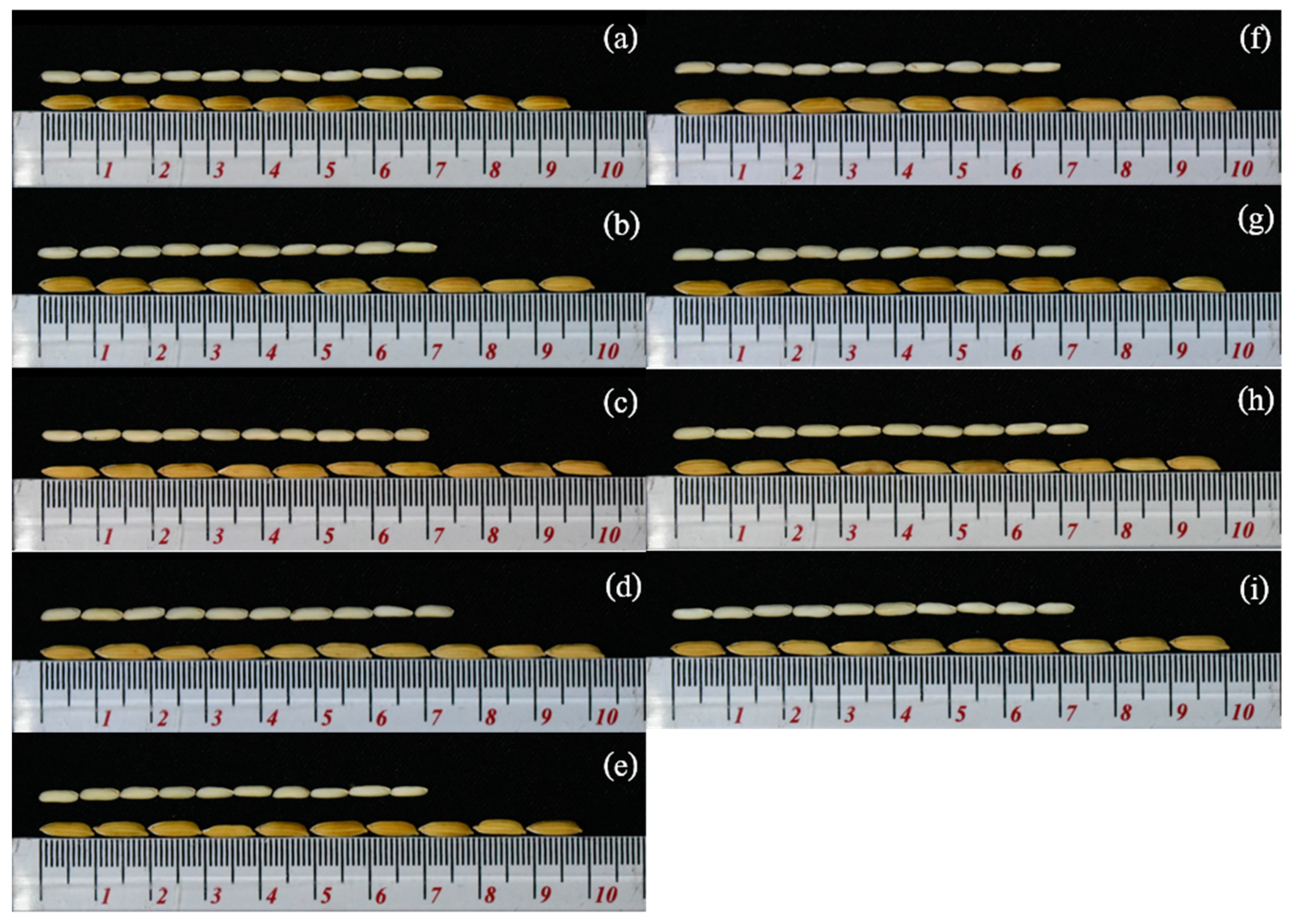Agronomy 10 01118 g002 Agronomy 10 01118 g002