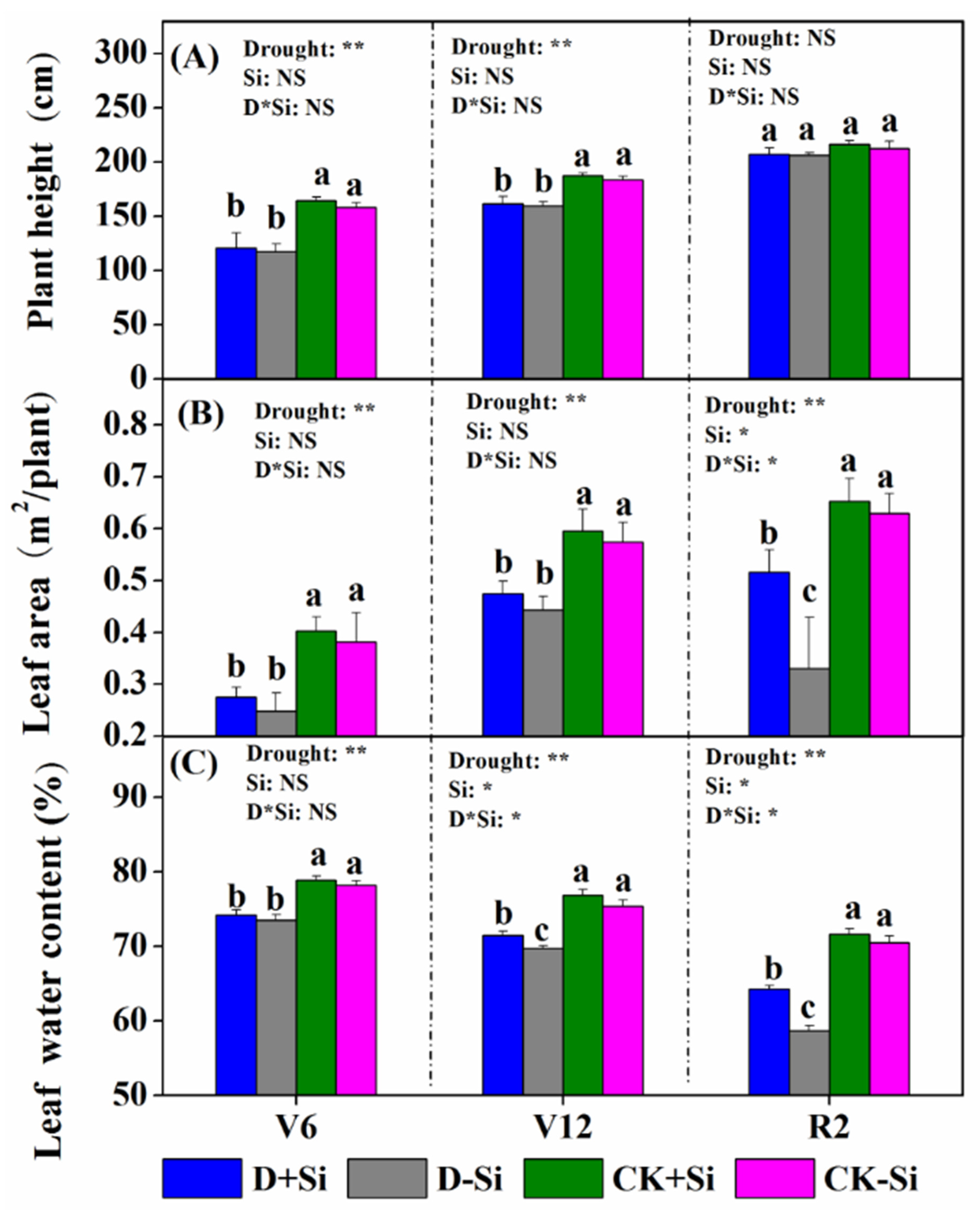 Agronomy 10 01136 g002