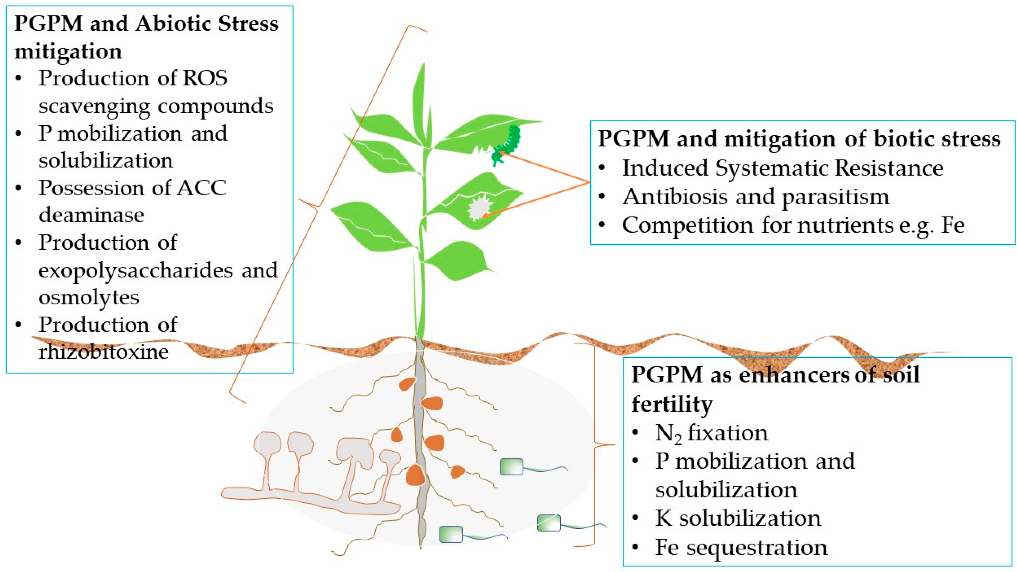 Agronomy | Free Full-Text | Relevance of Plant Growth Promoting  Microorganisms and Their Derived Compounds, in the Face of Climate Change