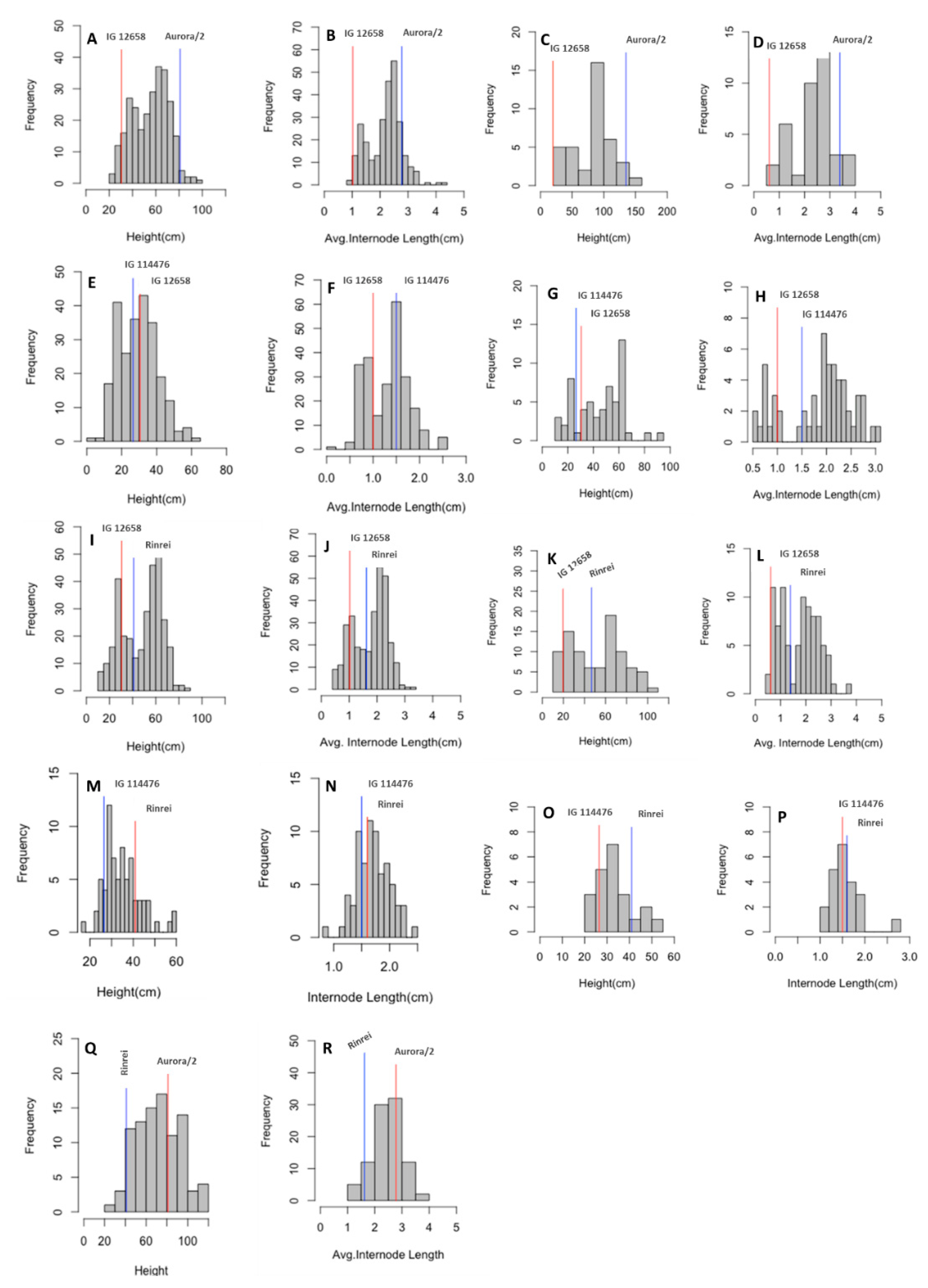 Agronomy 10 01191 g001