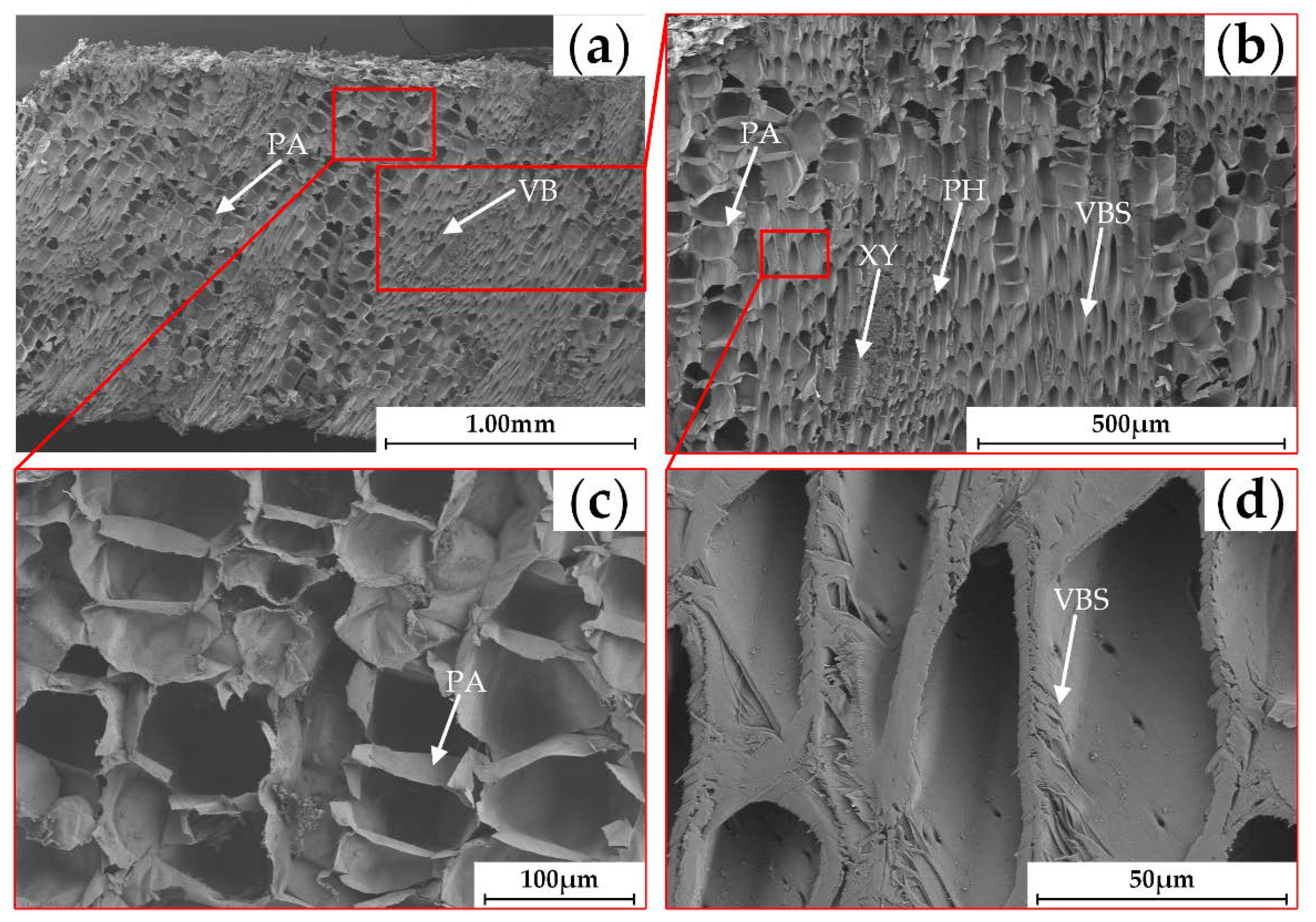 Agronomy 10 01199 g006