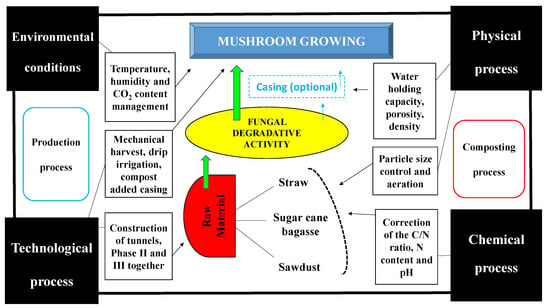 Agronomy Free Full Text Use Of Spent Mushroom Substrate In New Mushroom Crops To Promote The Transition Towards A Circular Economy Html