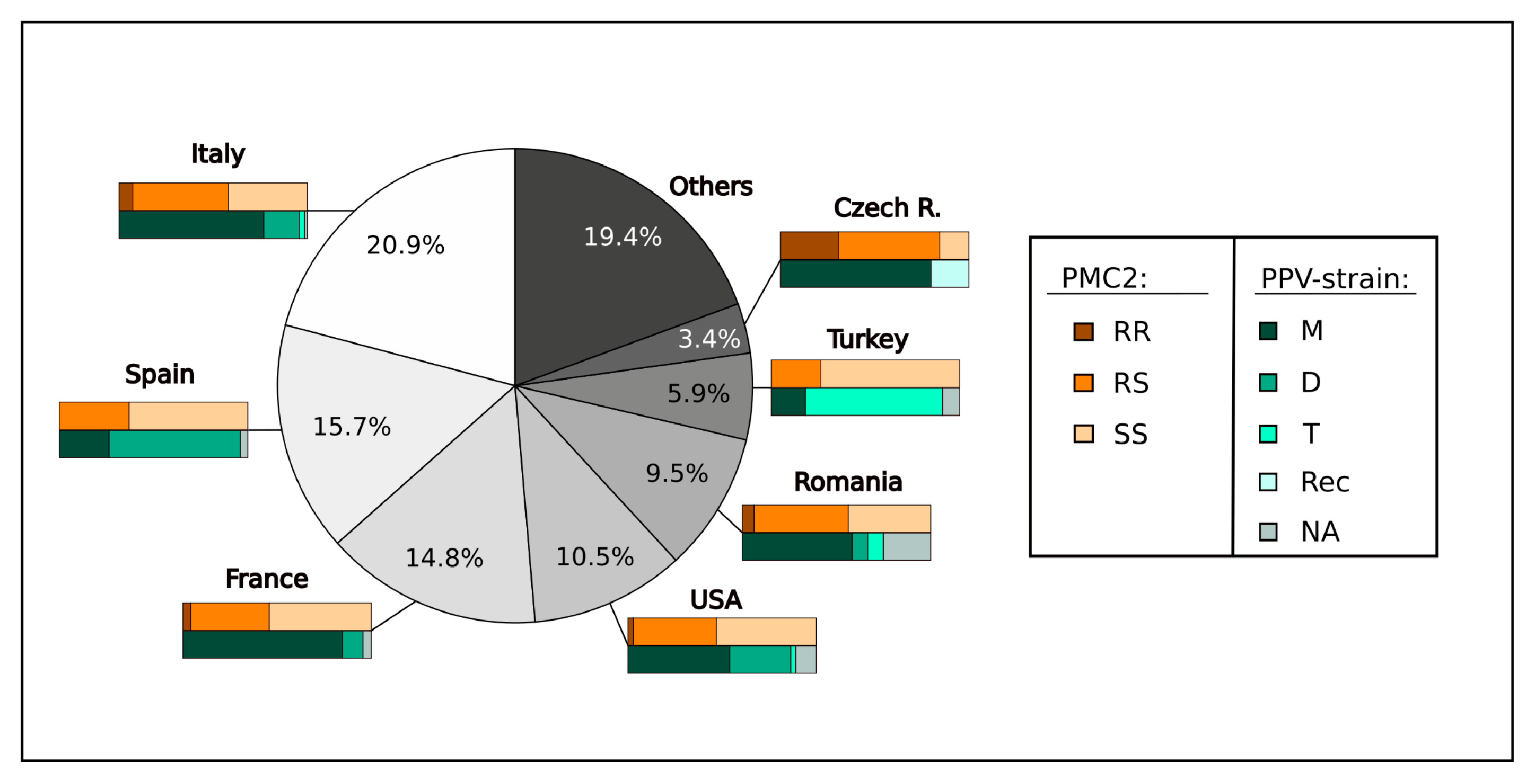 Agronomy Free Full Text Cost Effective And Time Efficient Molecular Assisted Selection For Ppv Resistance In Apricot Based On Parpmc2 Allele Specific Pcr Html