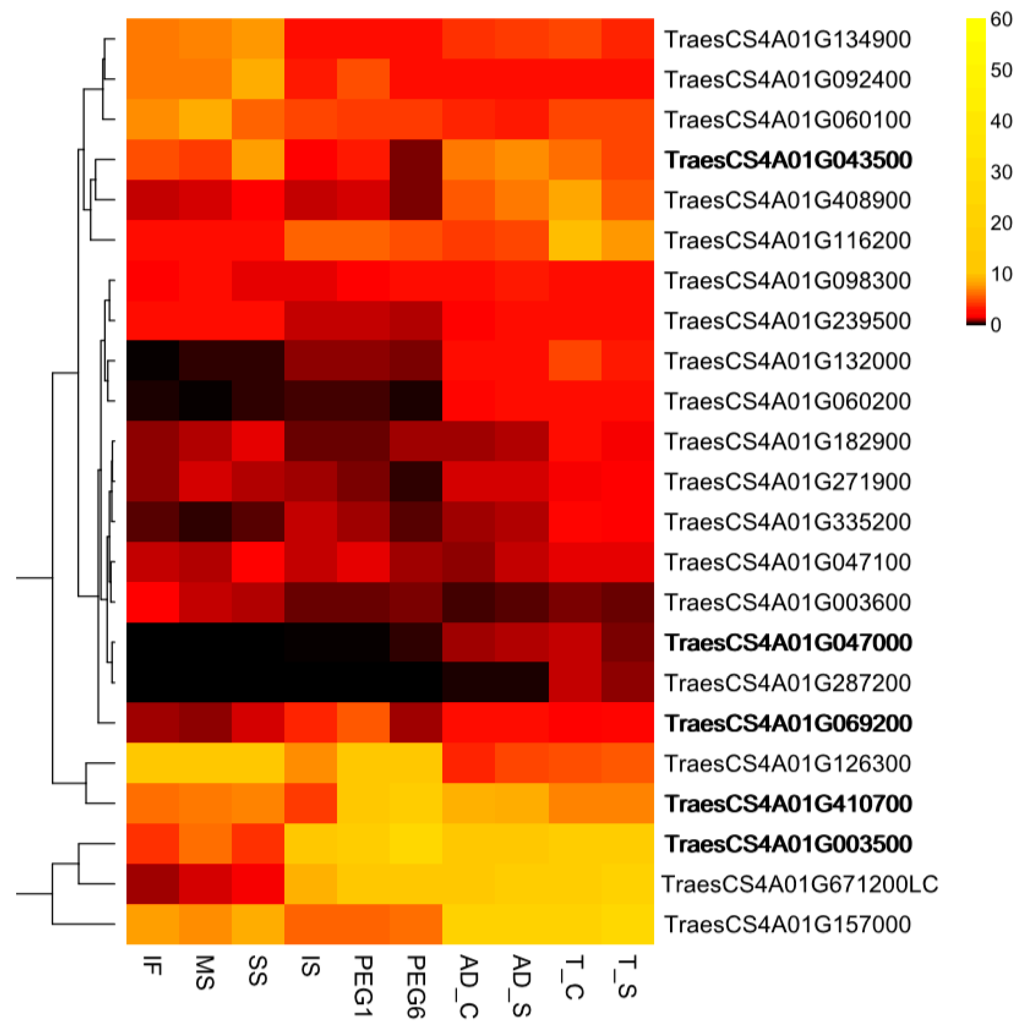Agronomy 10 01294 g005 Agronomy 10 01294 g005