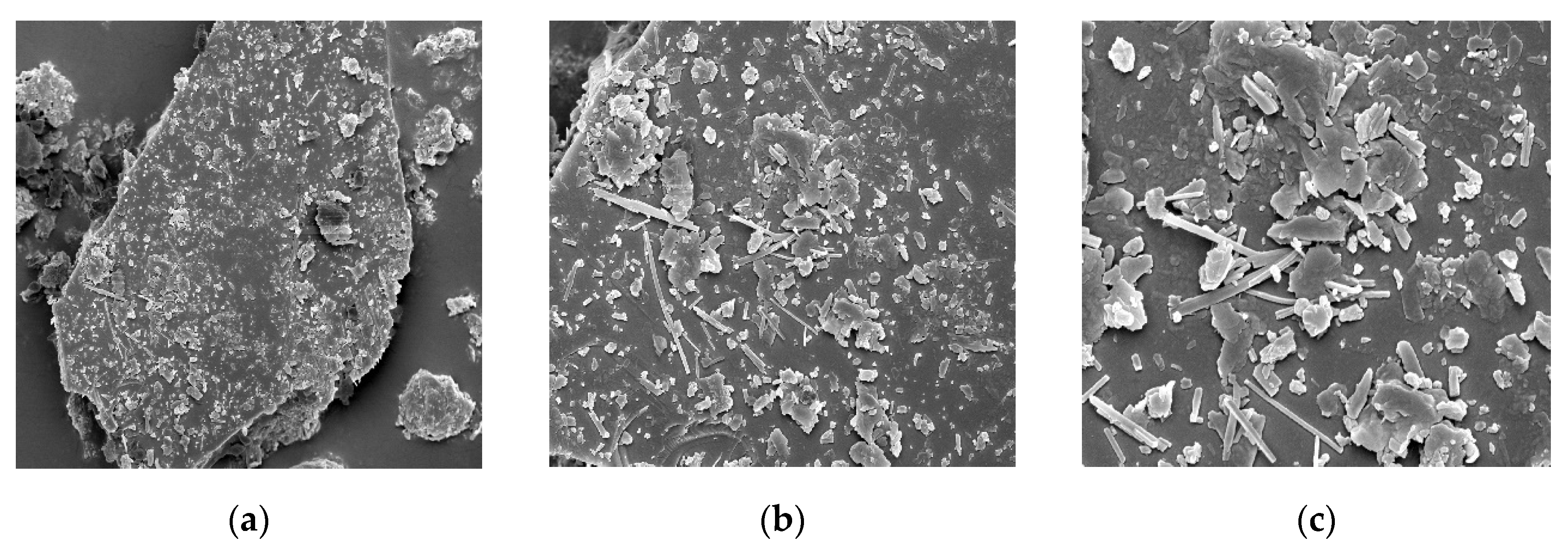 Agronomy  Free Full-Text  Clinoptilolite Zeolite on Tropical 