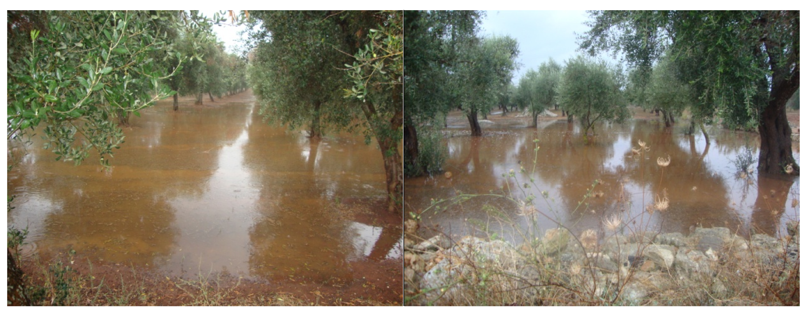 Agronomy 10 01445 g005 Agronomy 10 01445 g005