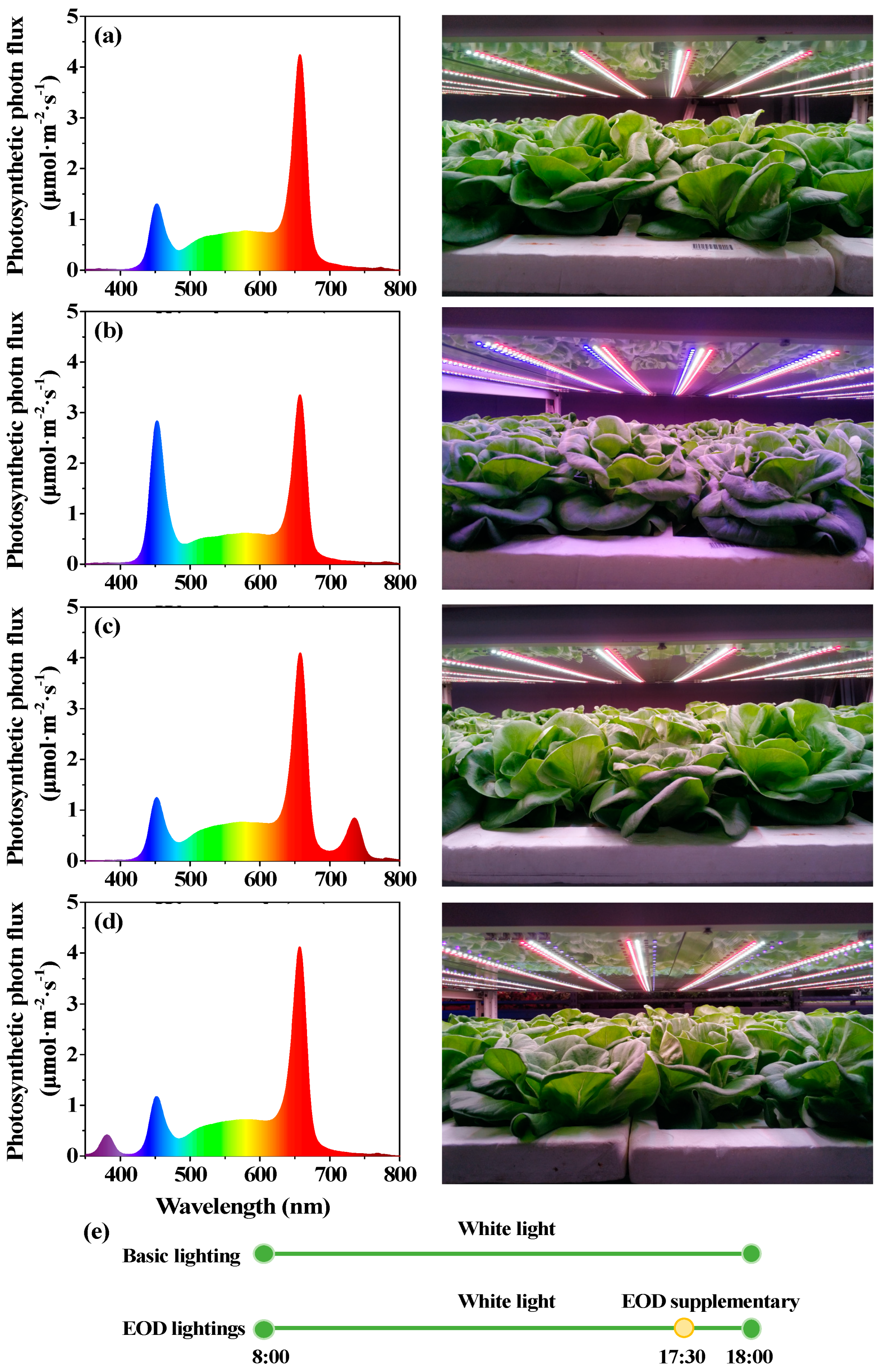 Agronomy 10 01475 g001