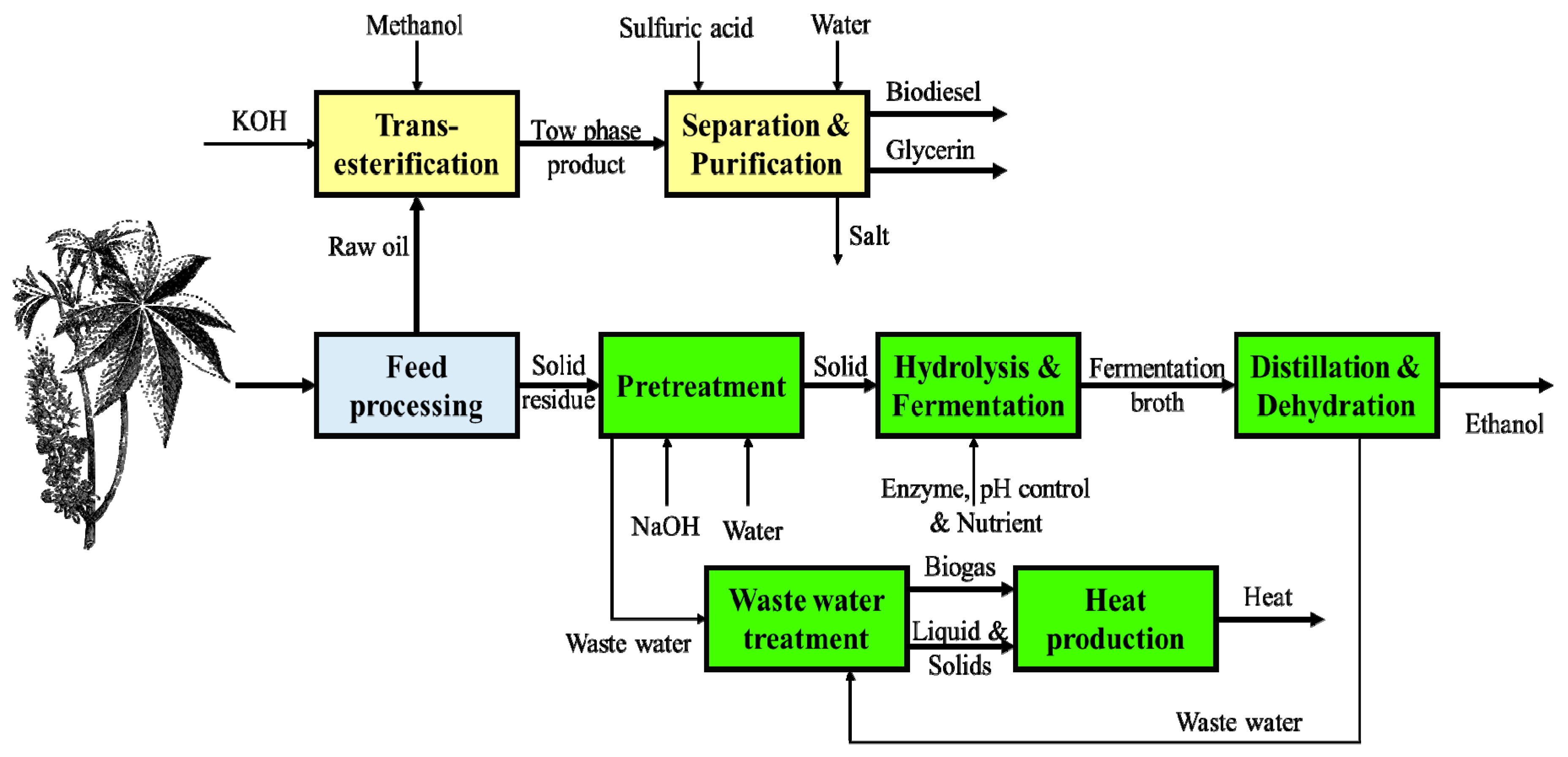 biodiesel data sheet