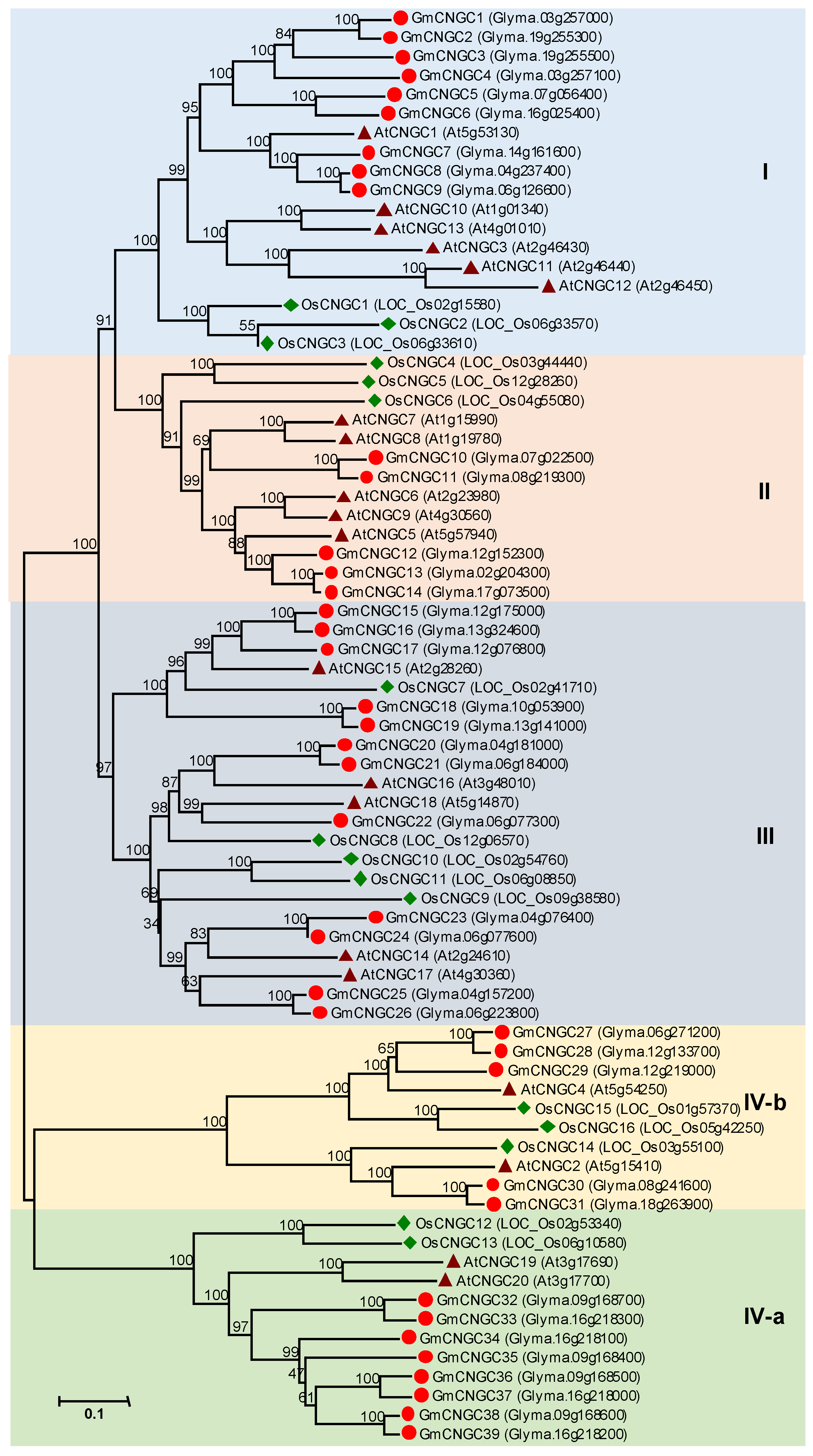 Agronomy 10 01539 g002