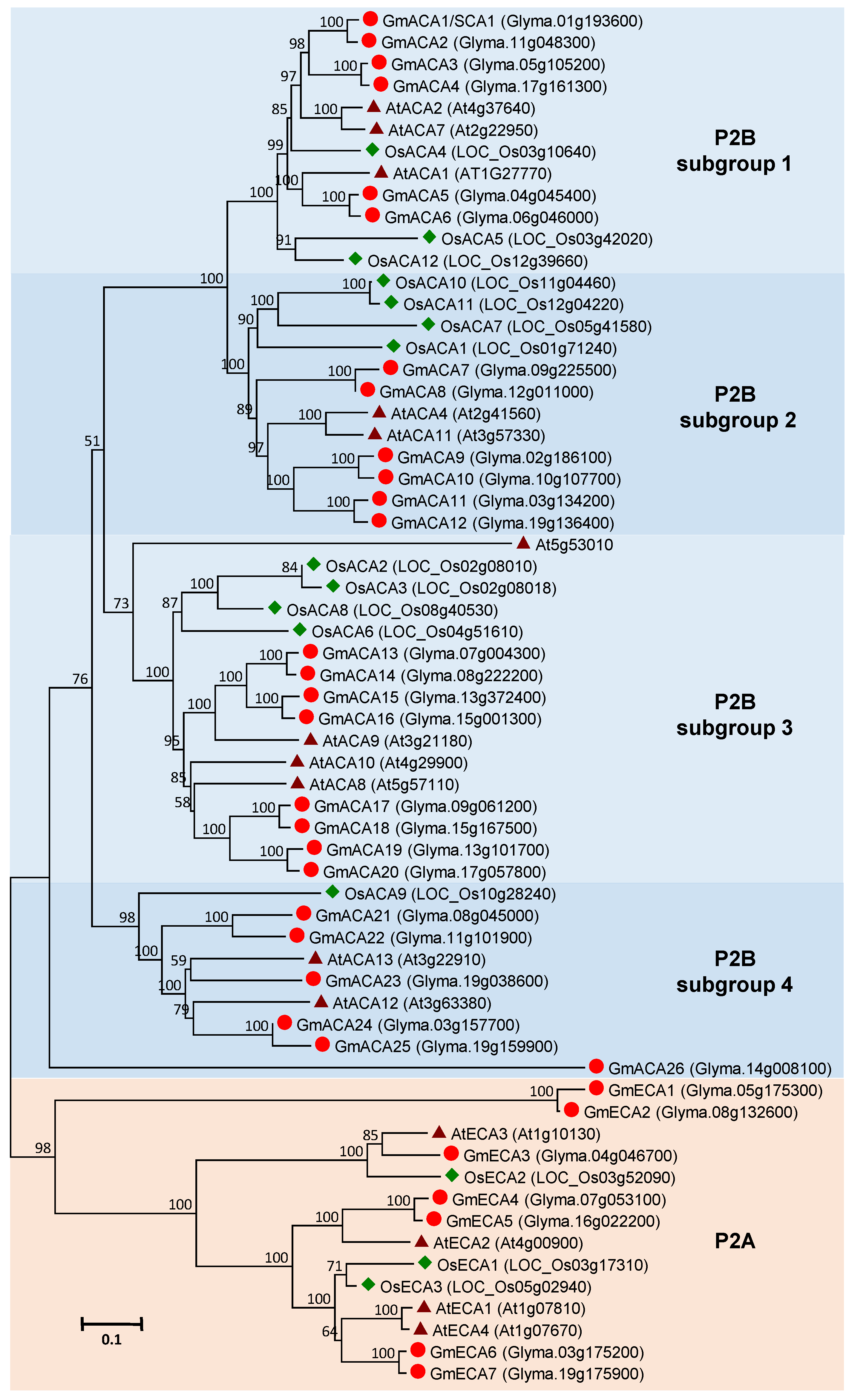 Agronomy 10 01539 g003
