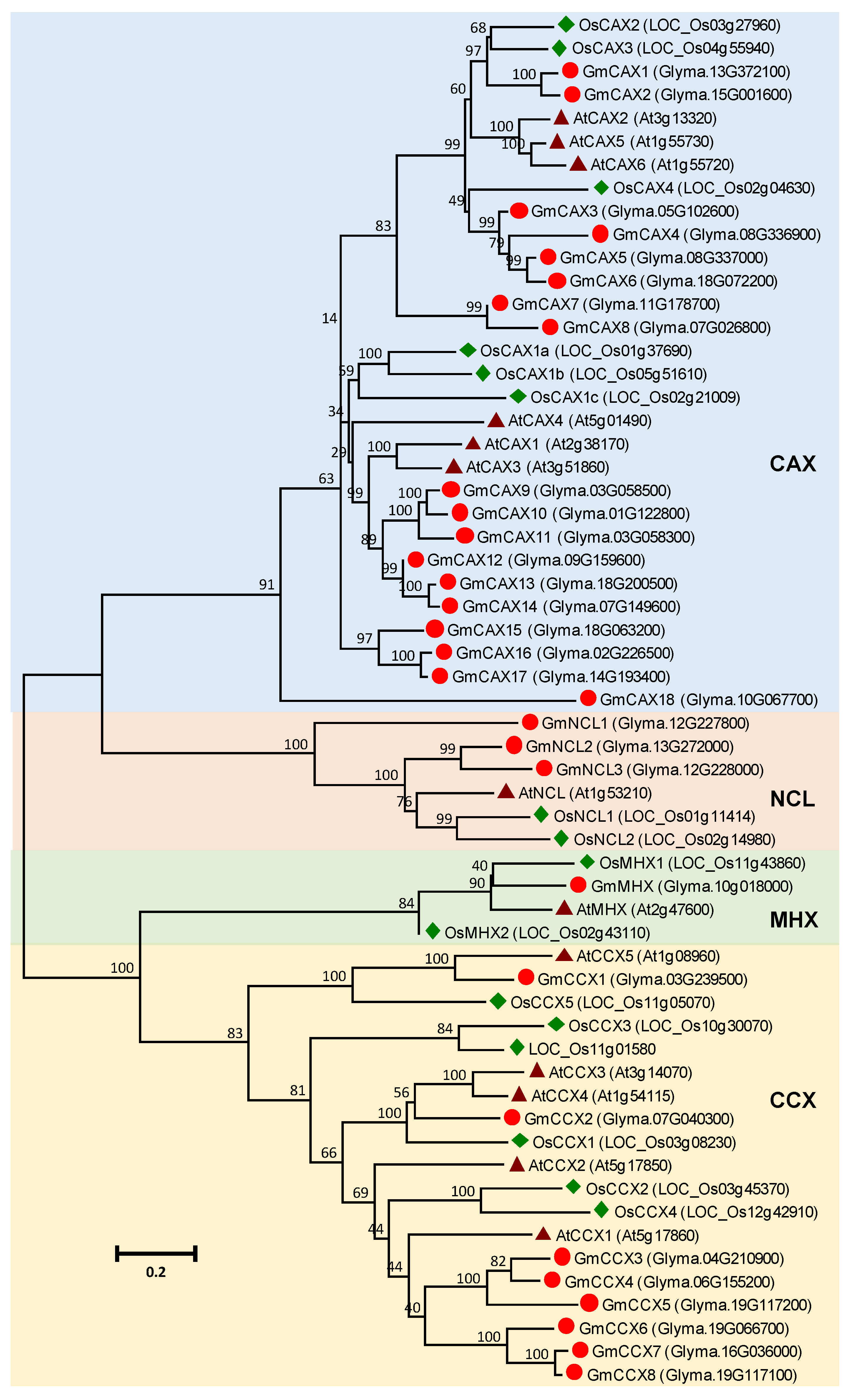 Agronomy 10 01539 g004