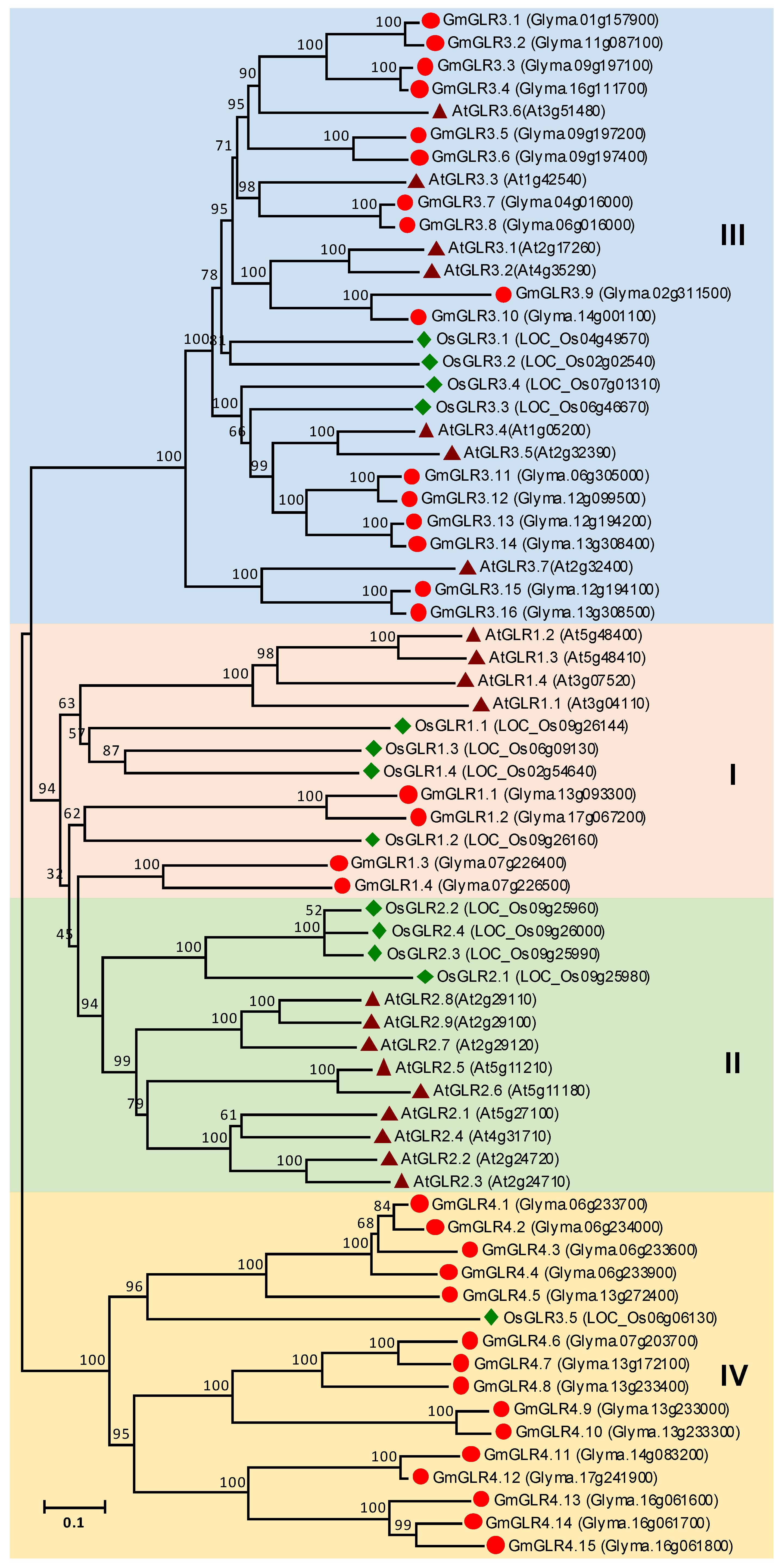 Agronomy 10 01539 g006