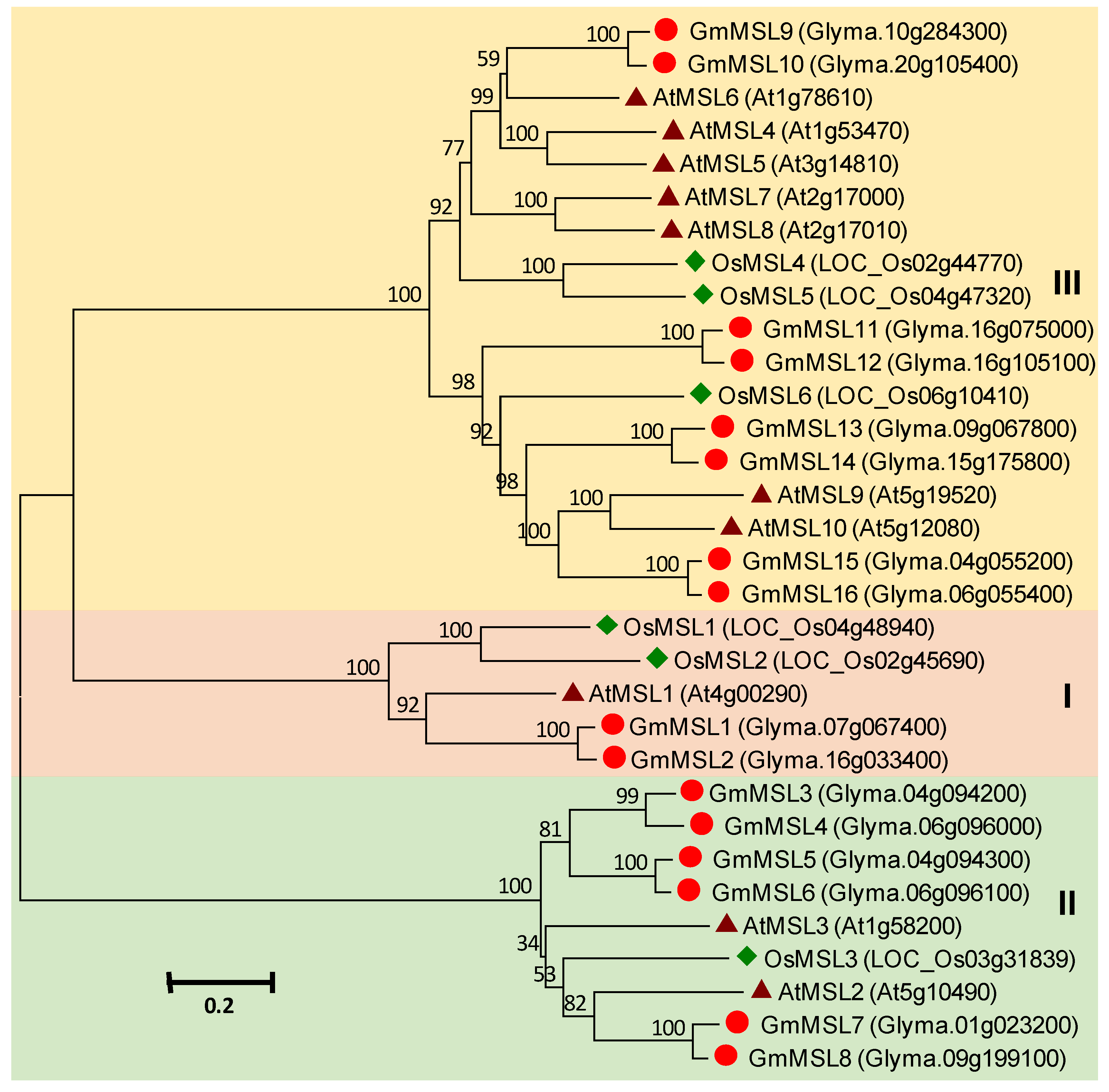 Agronomy 10 01539 g009