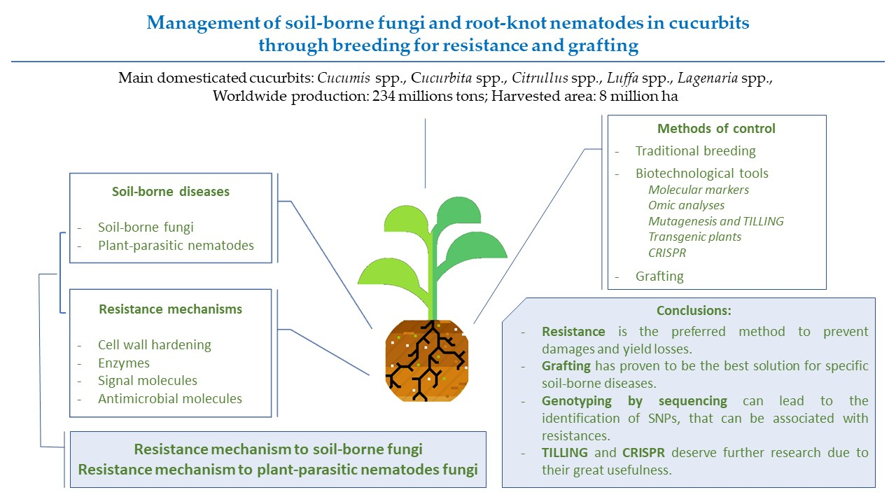 Agronomy Free Full Text Management Of Soil Borne Fungi And Root Knot Nematodes In Cucurbits Through Breeding For Resistance And Grafting Html