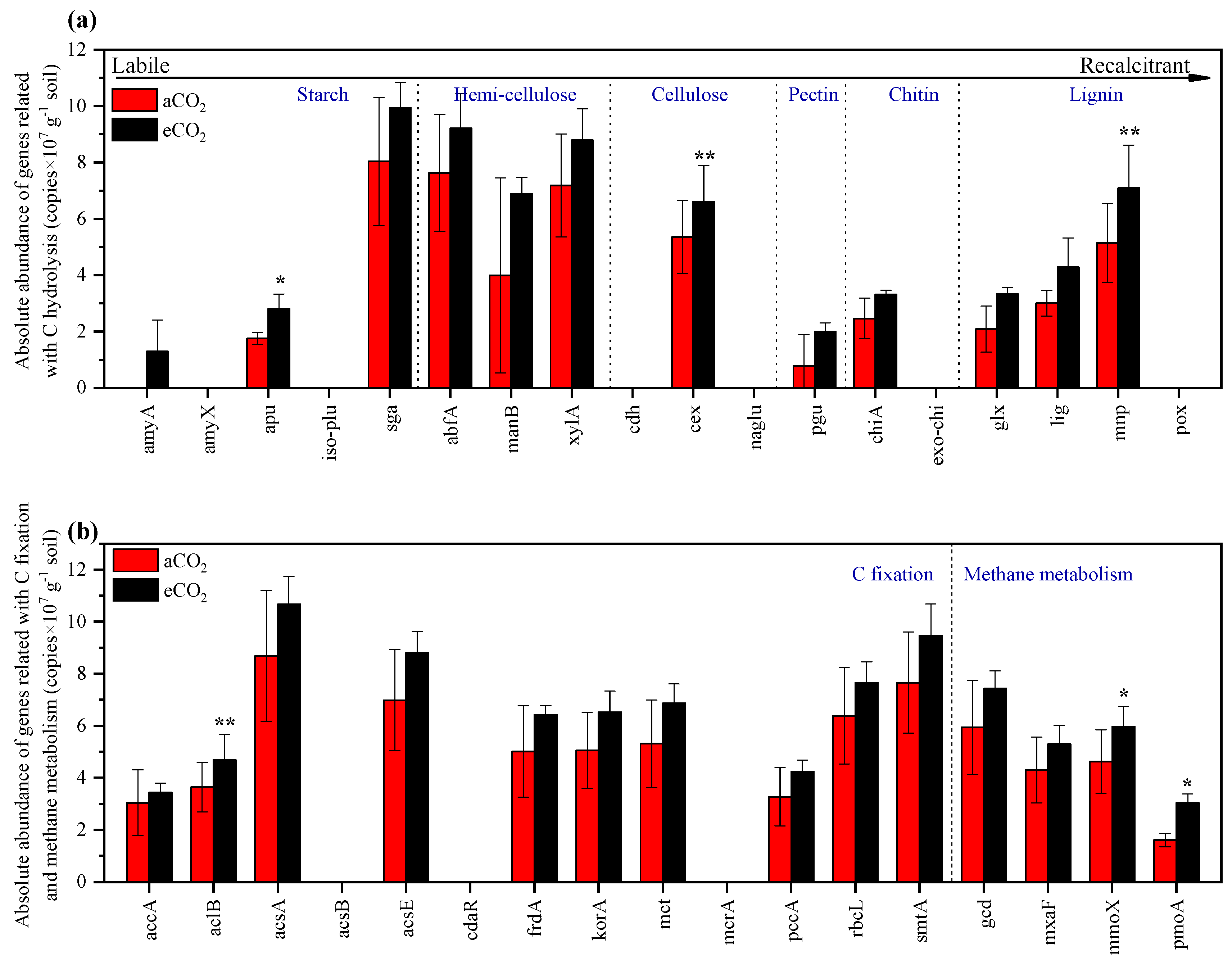 Agronomy 10 01752 g004