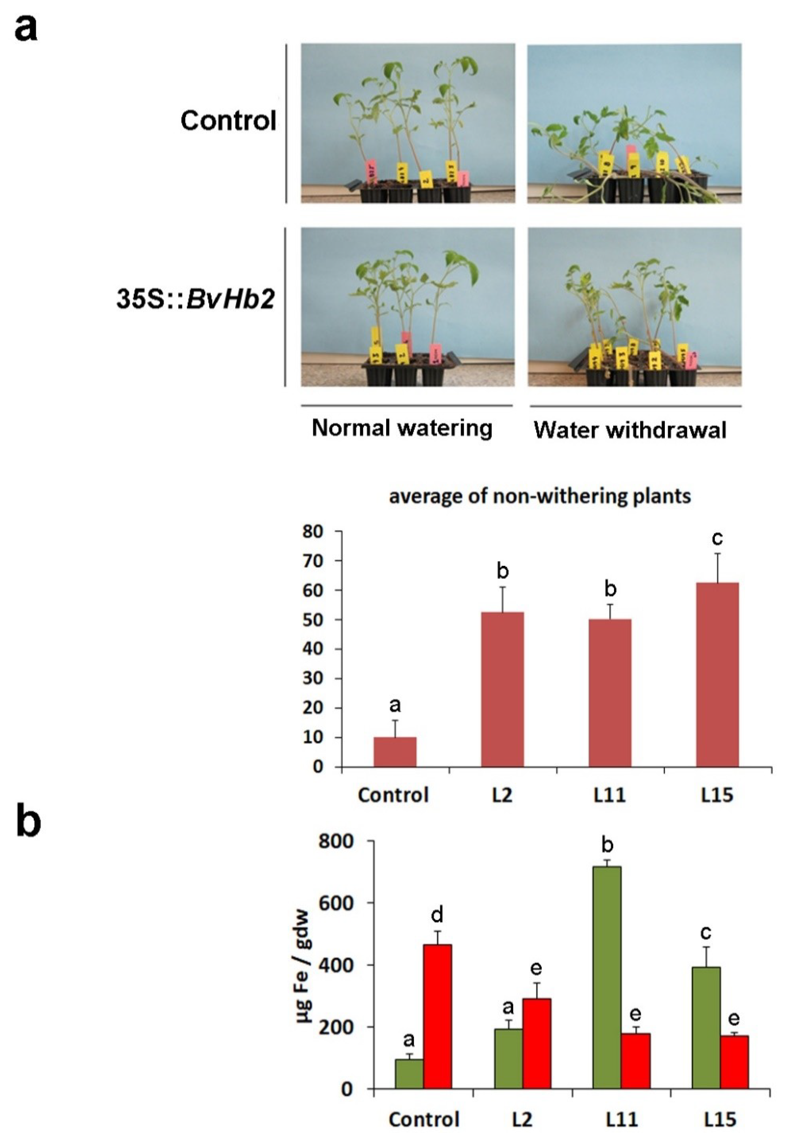 Agronomy 10 01754 g004 Agronomy 10 01754 g004