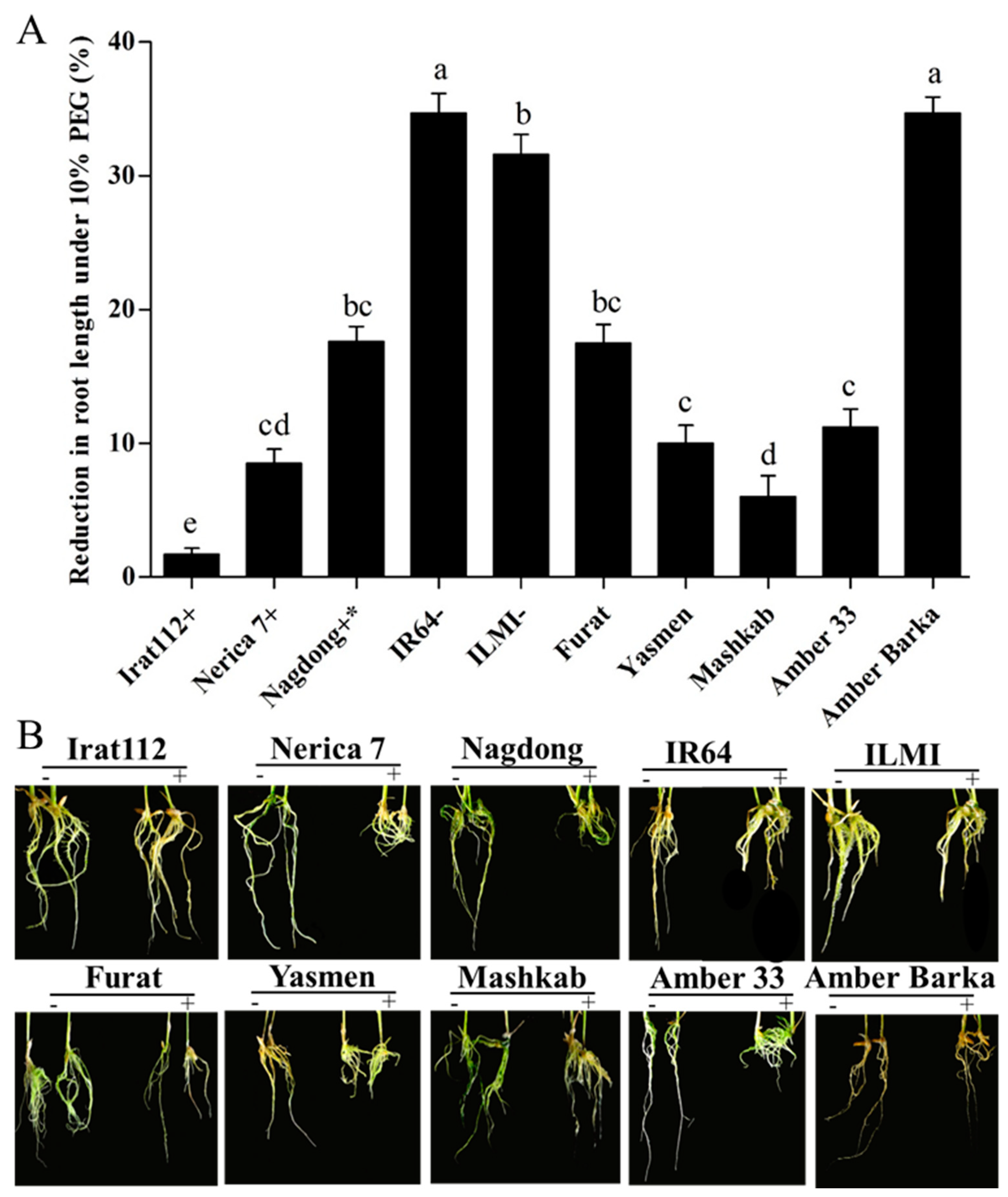 Agronomy 10 01782 g003