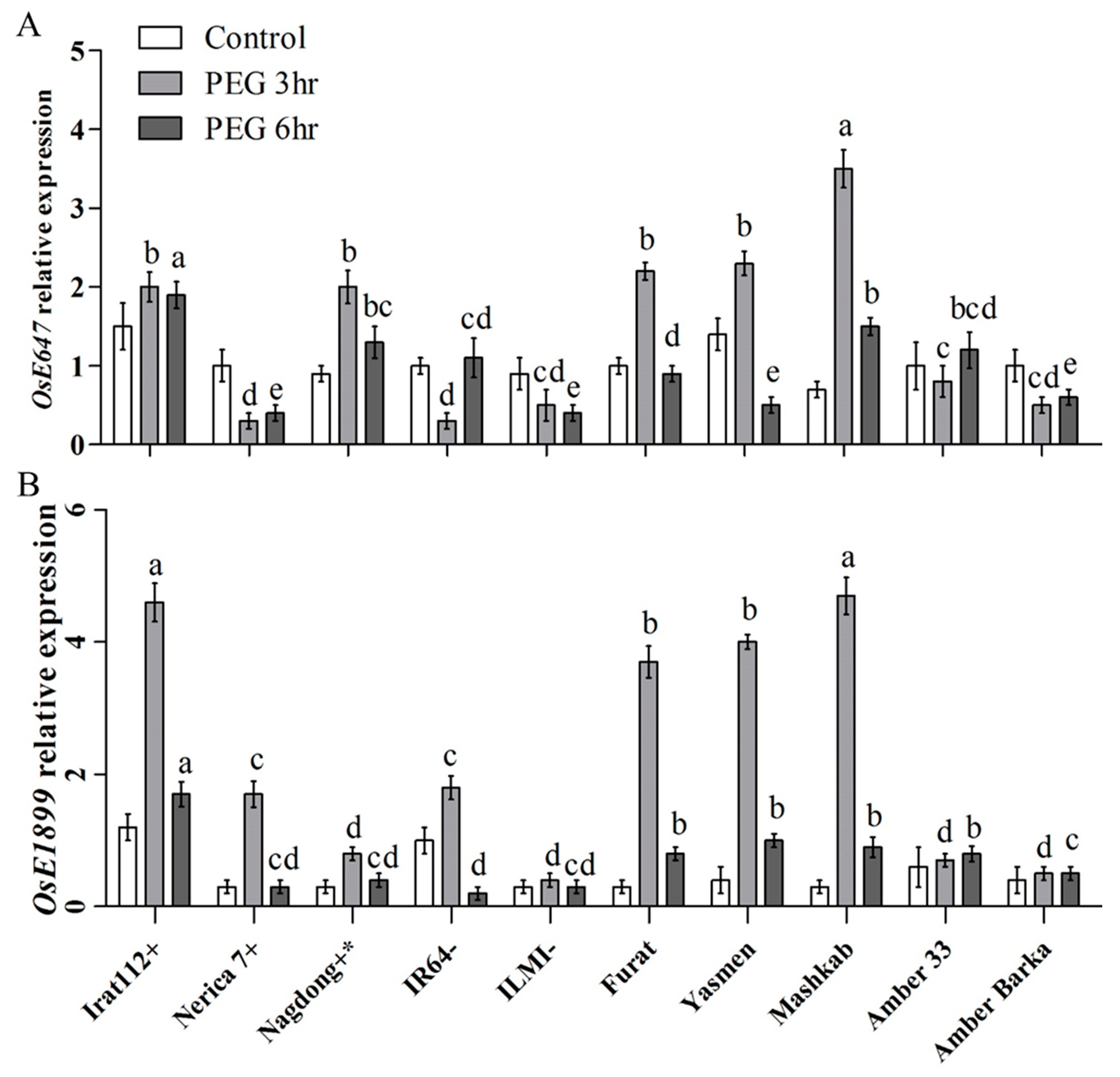 Agronomy 10 01782 g006