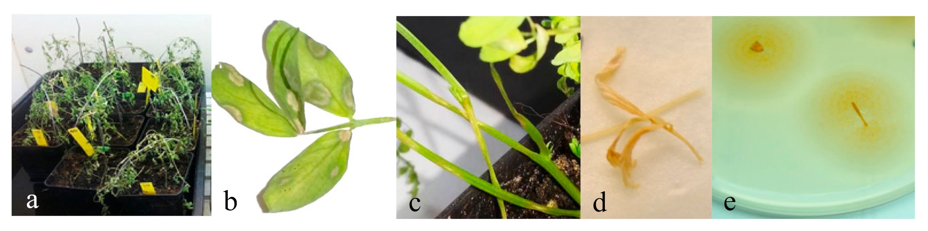 Agronomy 10 01799 g001 Agronomy 10 01799 g001