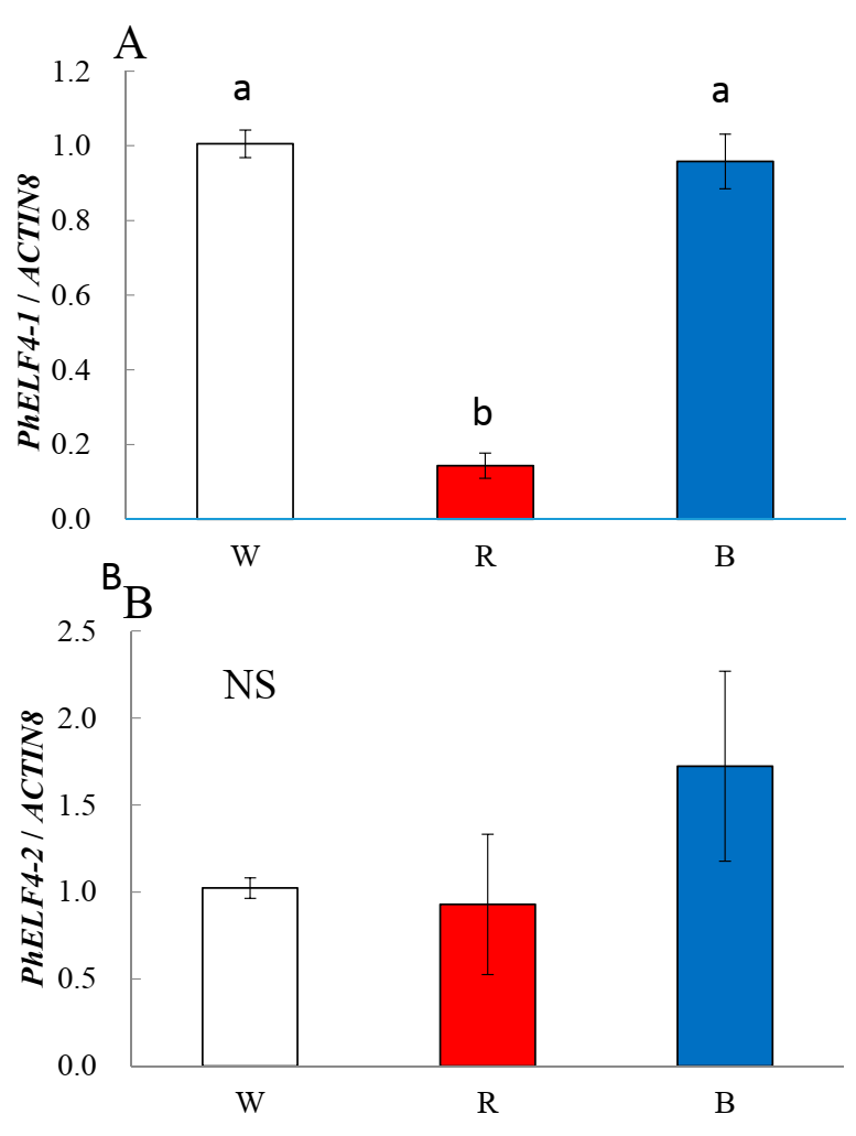 Agronomy 10 01800 g002